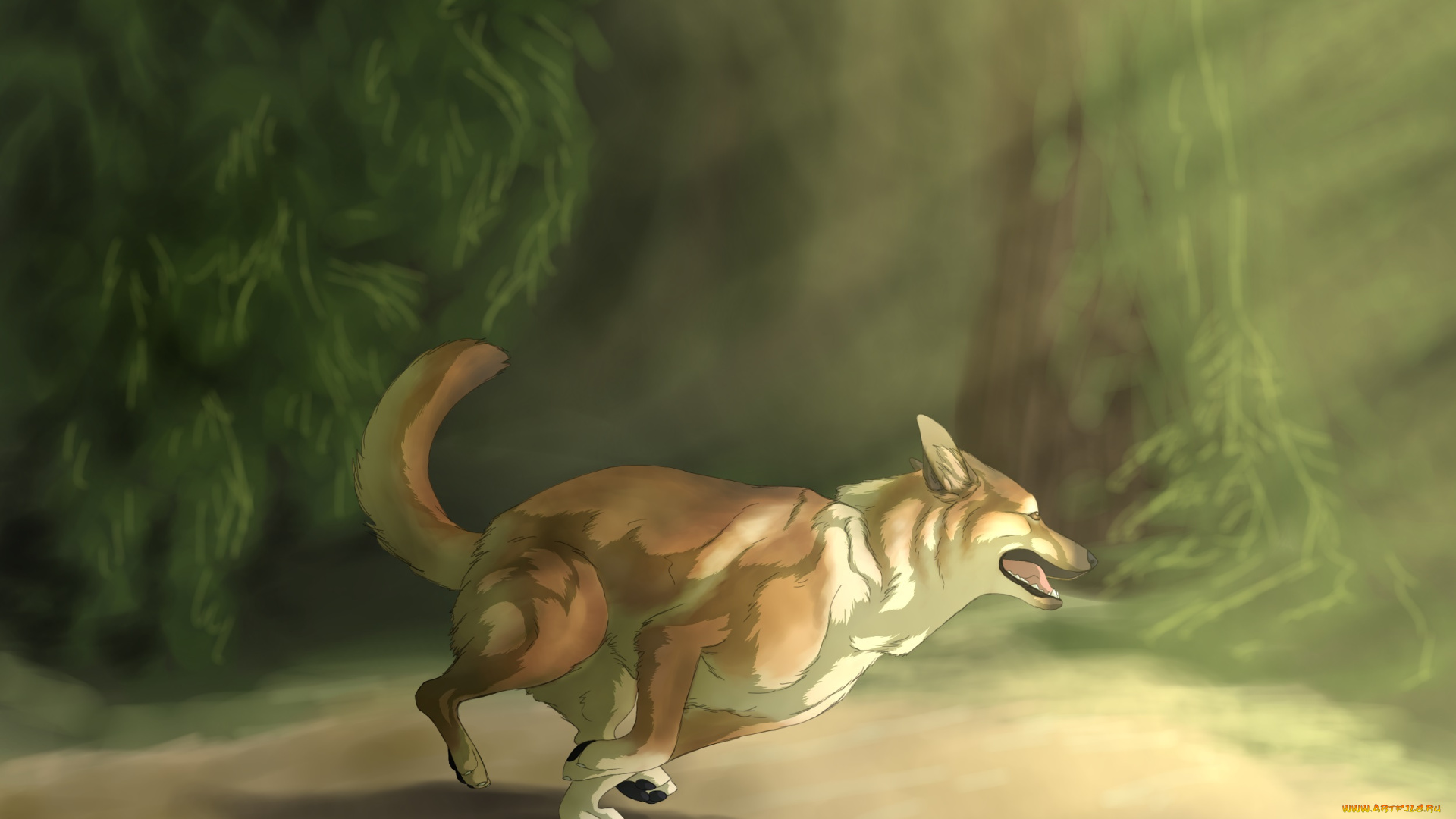 рисованное, животные, , собаки, бег, собака