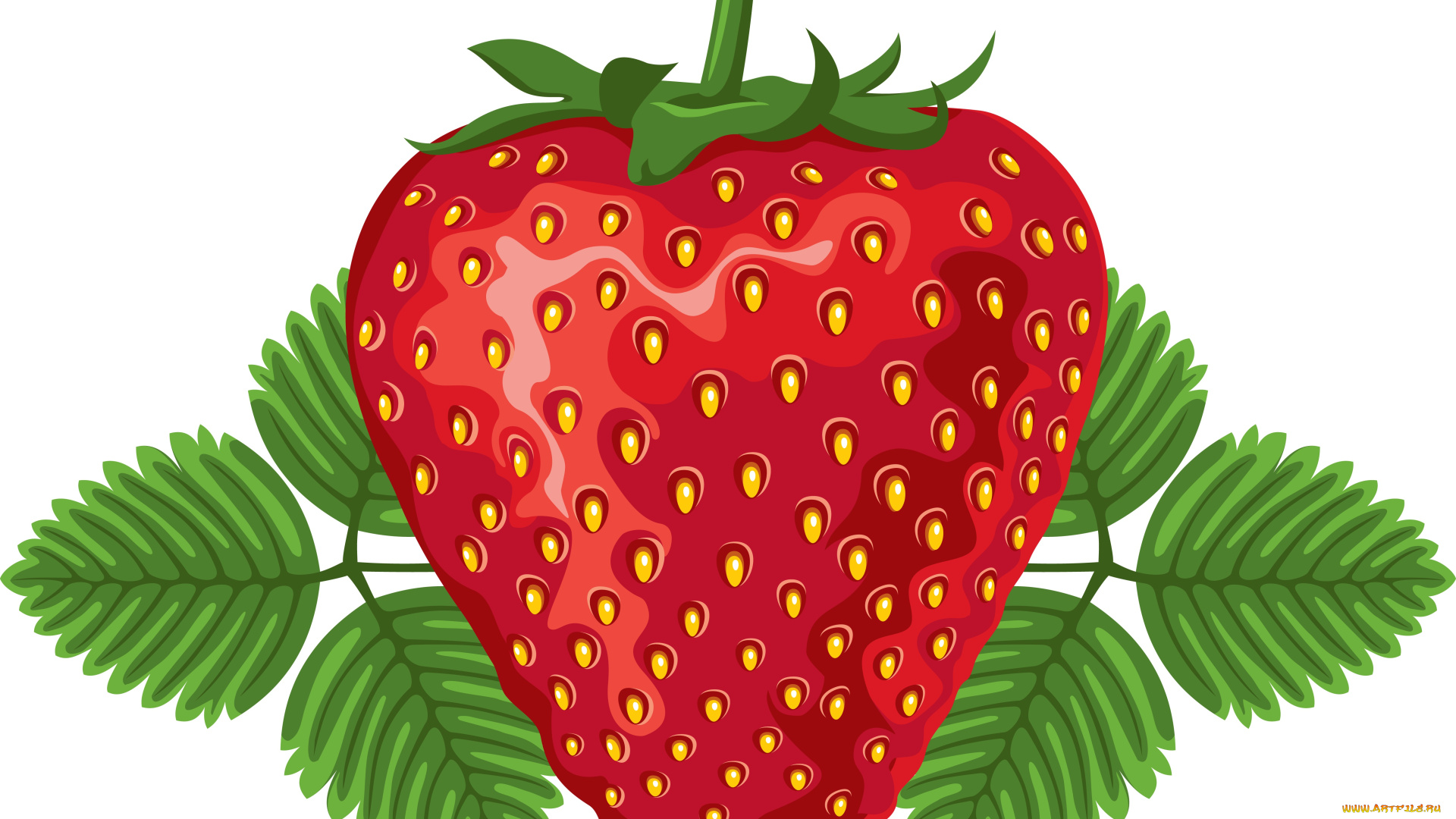 векторная, графика, еда, , food, ягоды, листья, фон, клубника