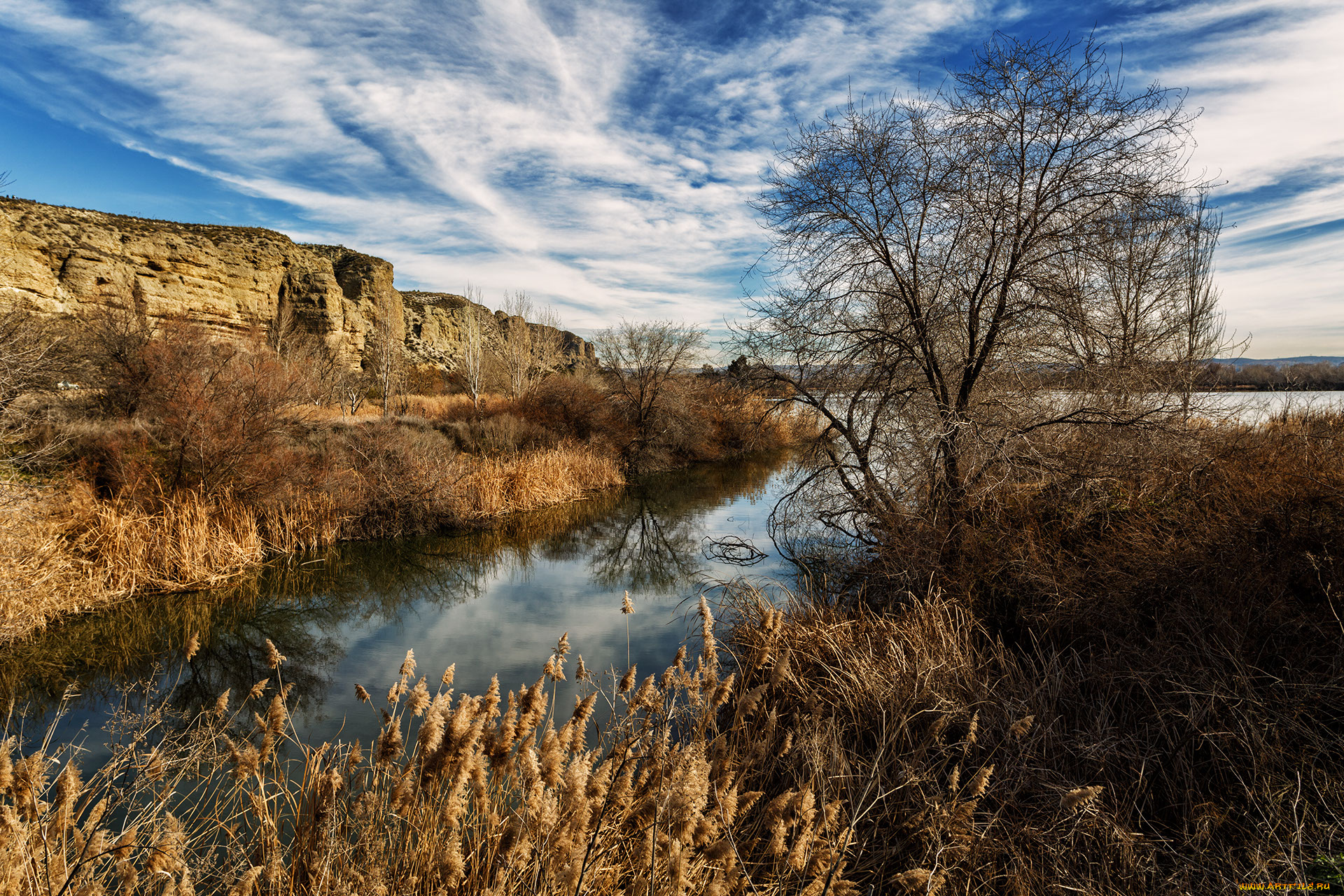 природа, реки, озера, река, скалы, трава