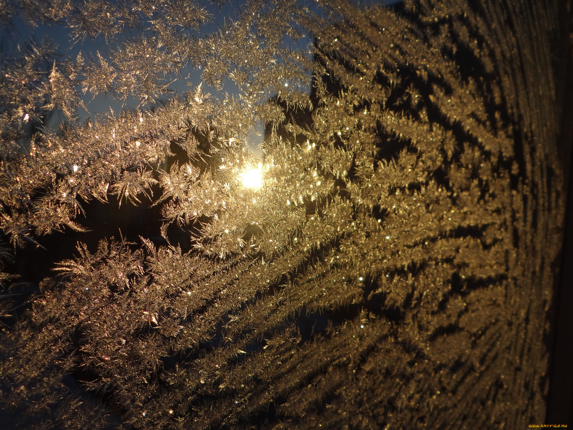 природа, макро, стекло, зима, иней