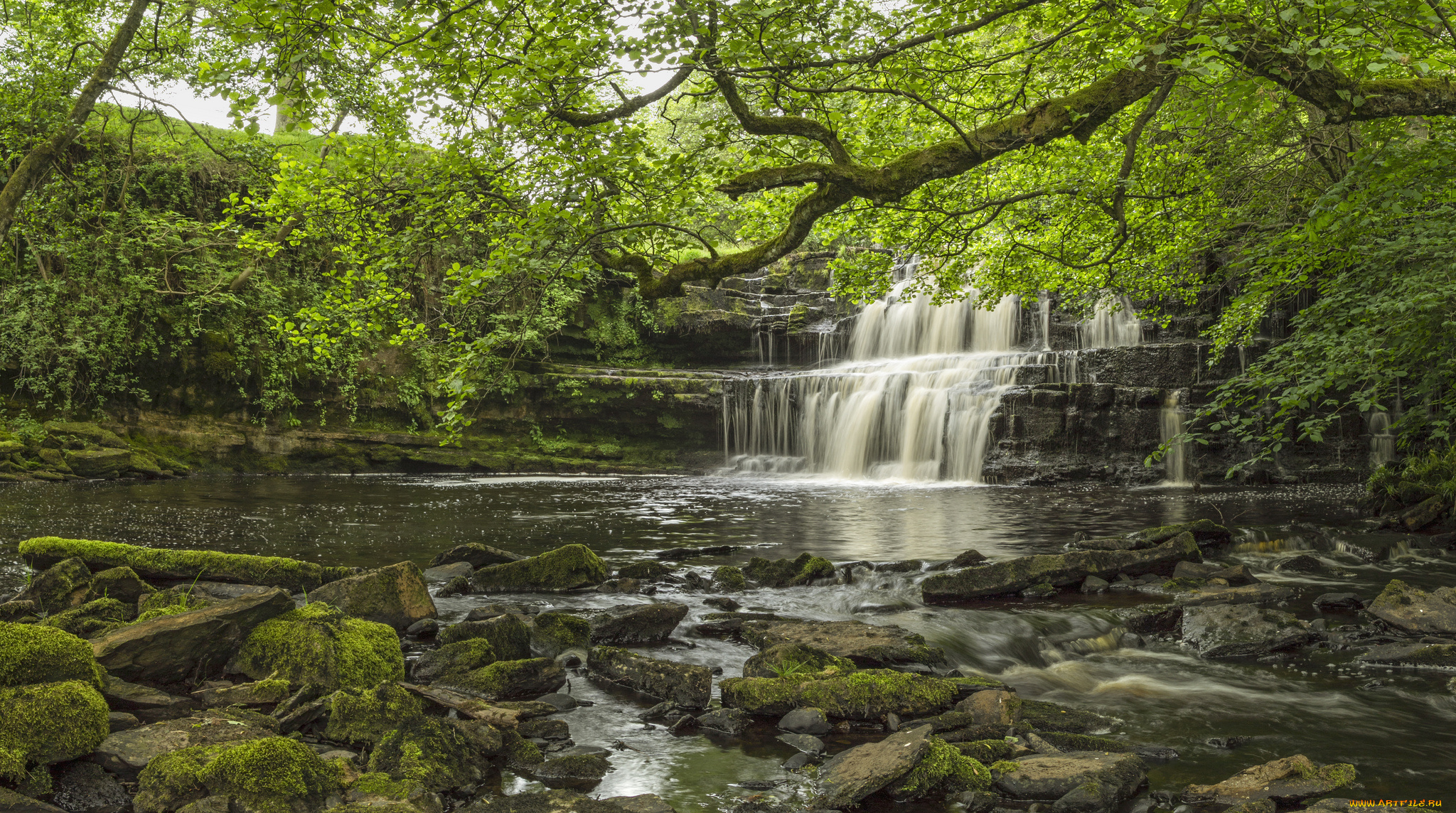 природа, водопады, лес, река, водопад