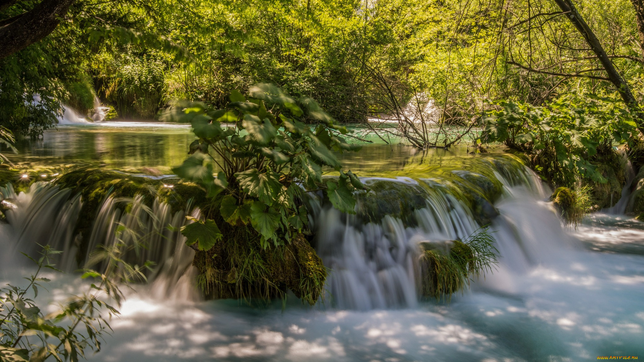 природа, водопады, лес, река, водопад