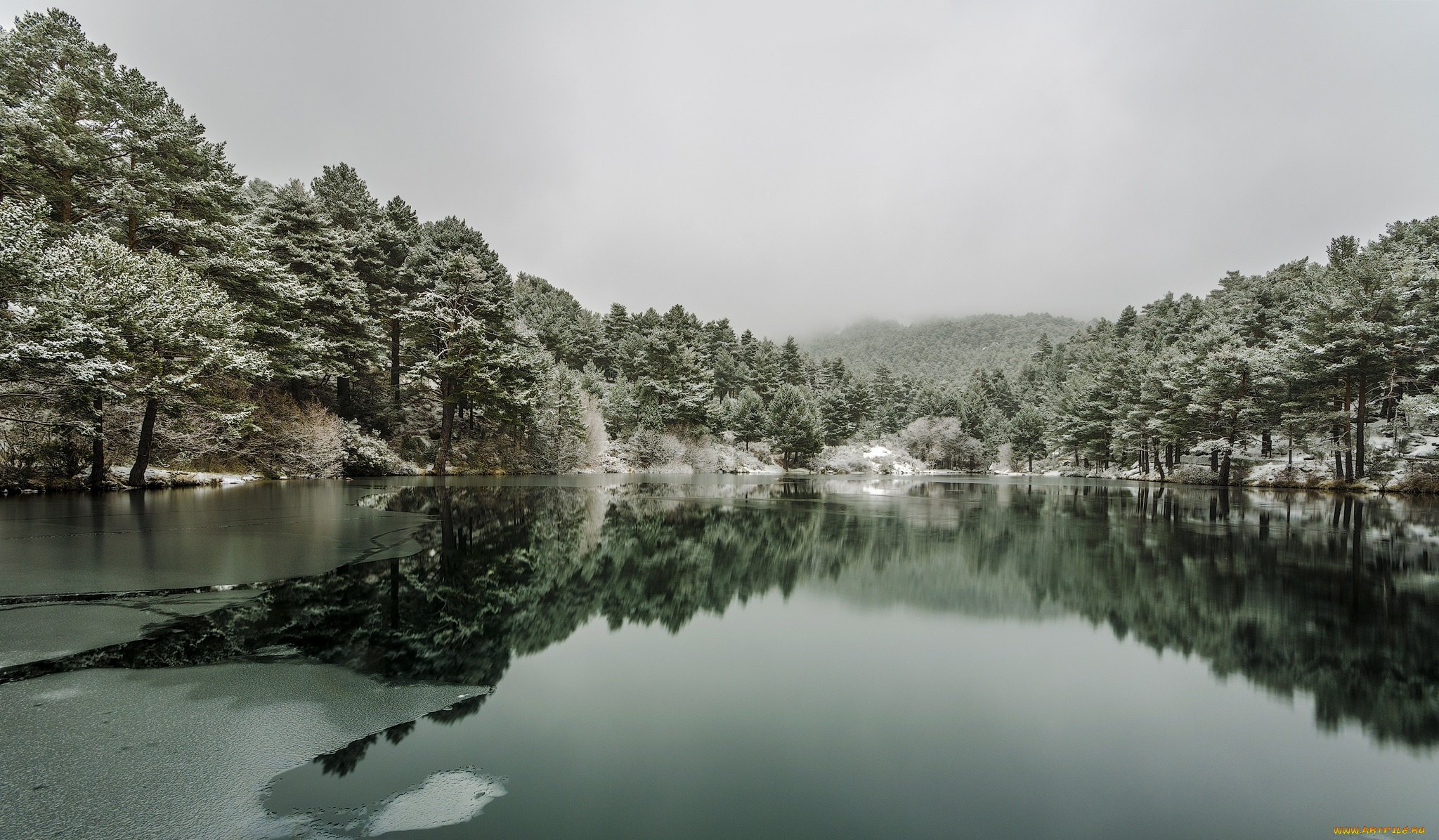 природа, реки, озера, лес, река