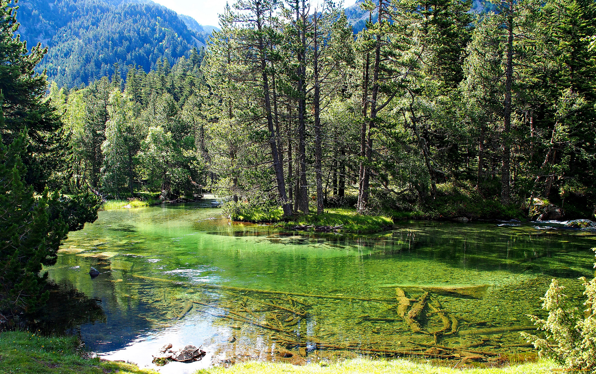 природа, реки, озера, лес, отражение, облака, озеро