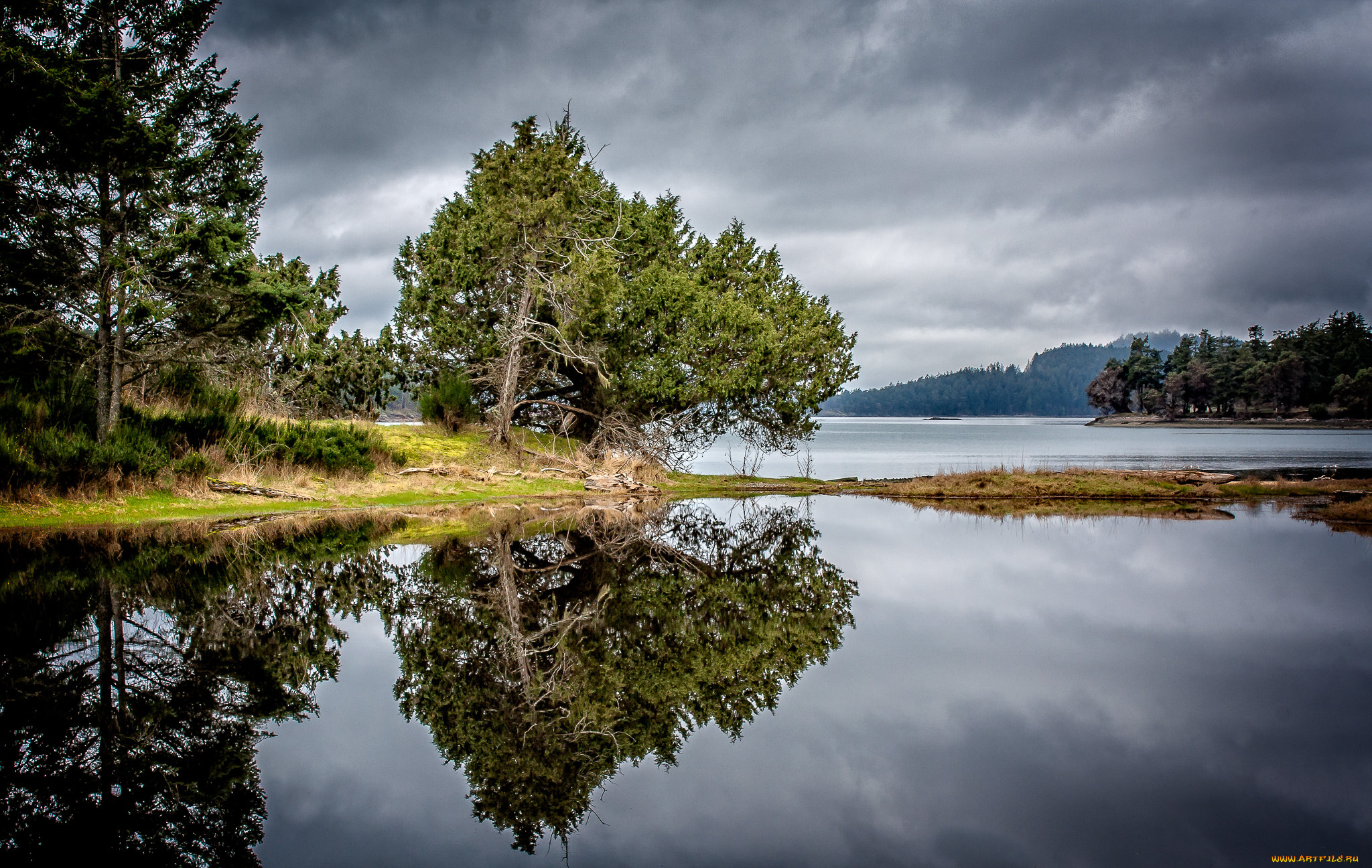 природа, реки, озера, река, берег, деревья, тучи, простор