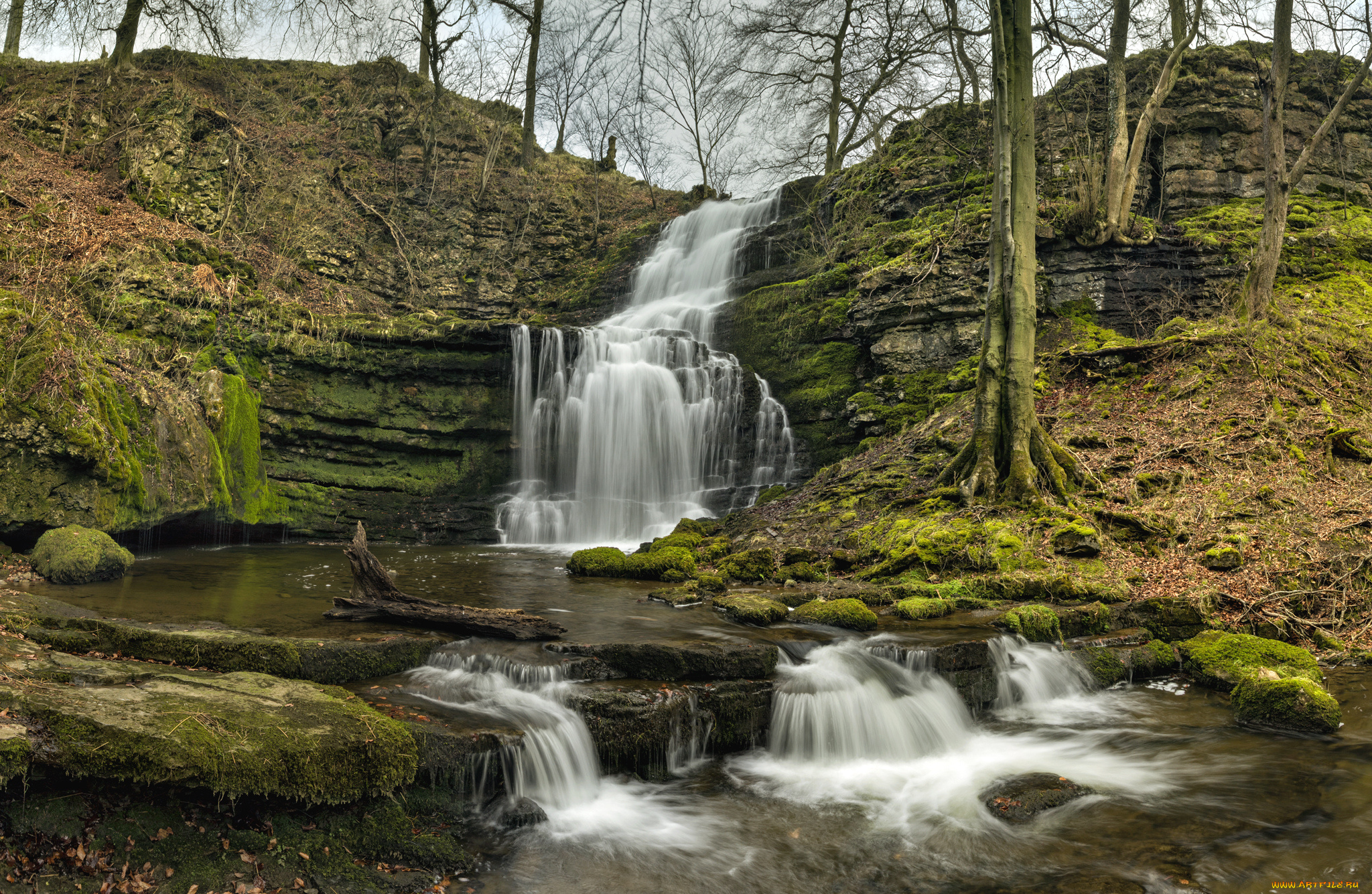 природа, водопады, водопад, река, лес