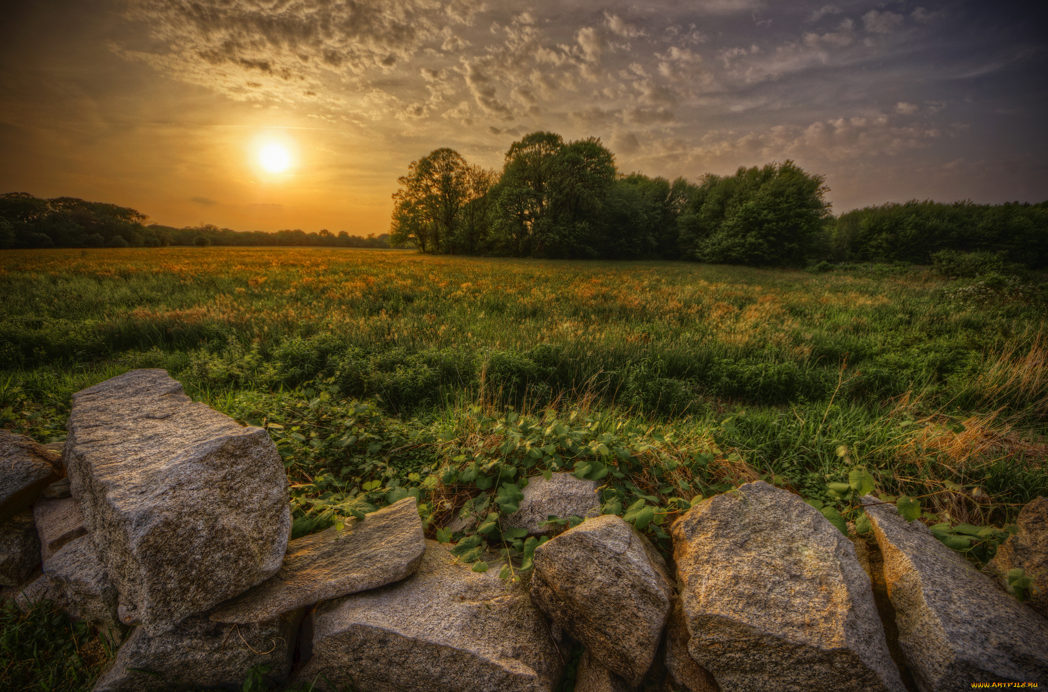 природа, восходы, закаты, лес, поле, трава, облака, солнце