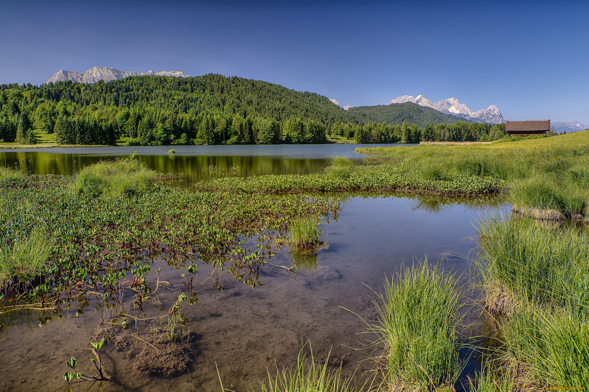 природа, реки, озера, горы, лес, река