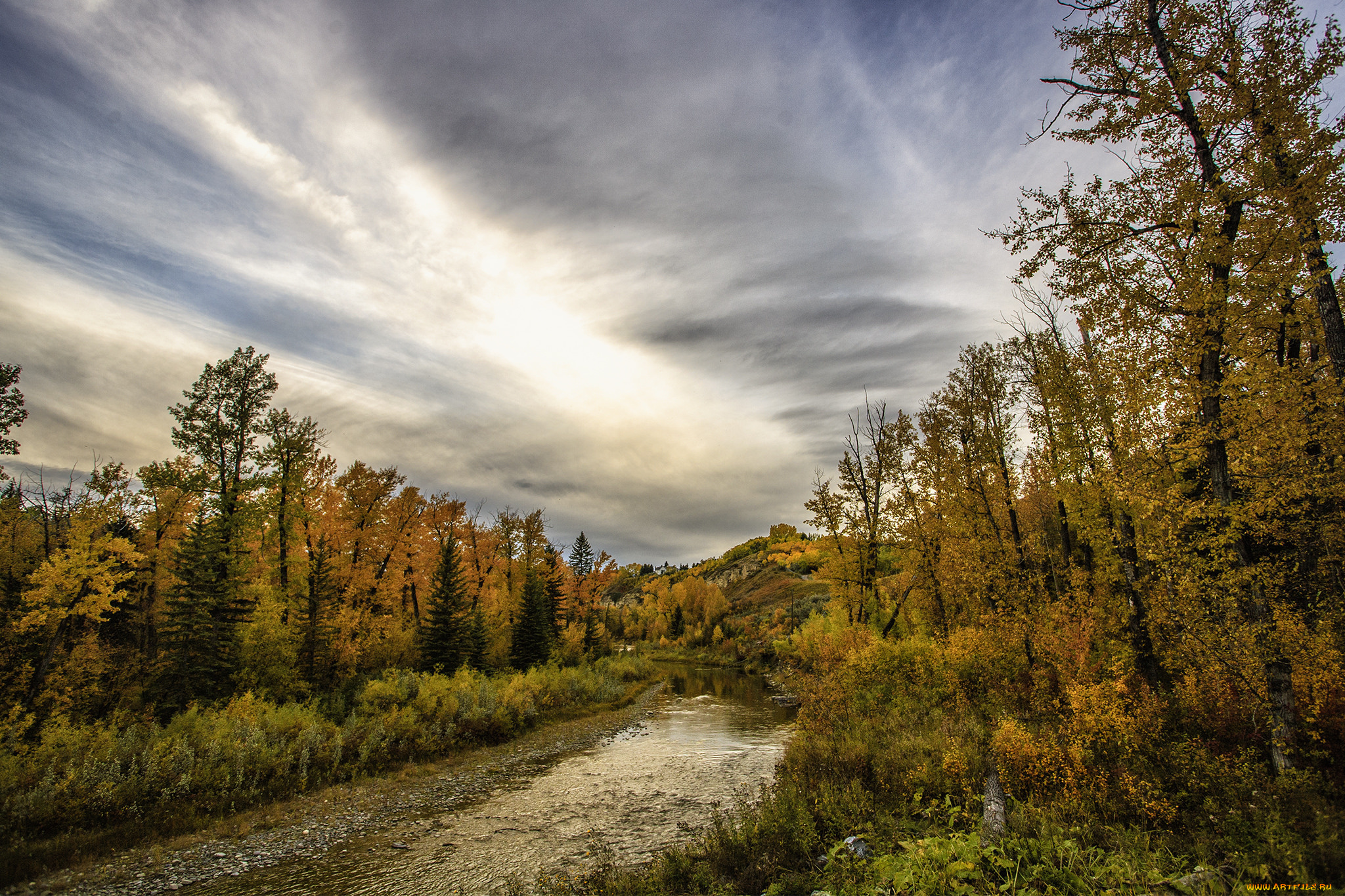природа, реки, озера, лес, река