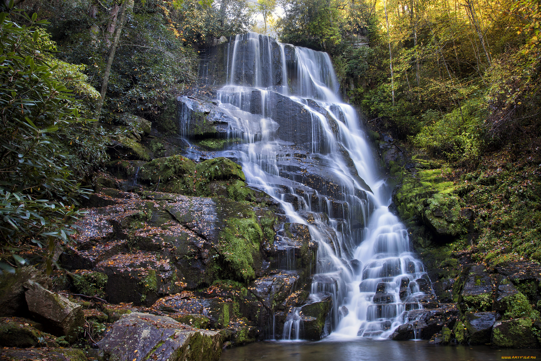 природа, водопады, лес, река, водопад