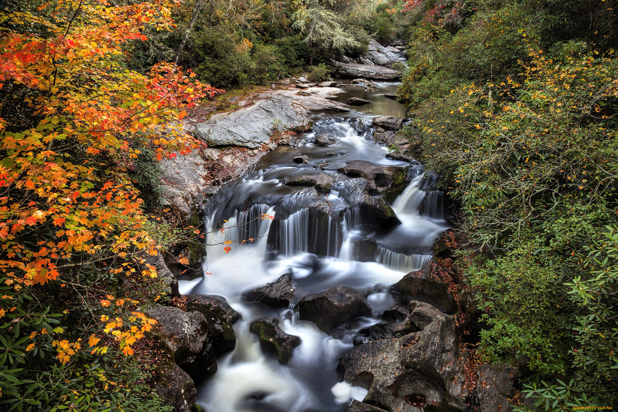 природа, водопады, лес, река, водопад