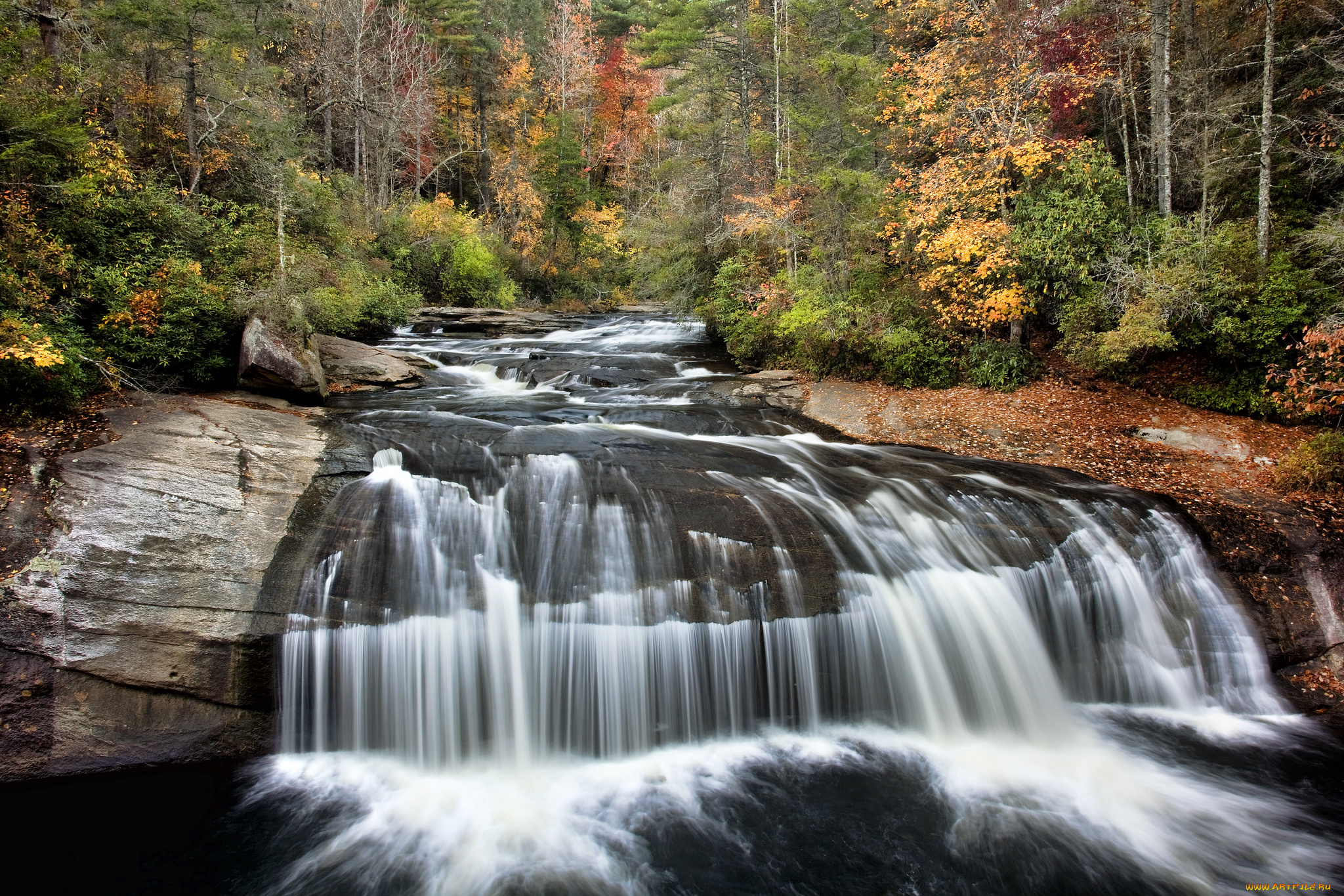 природа, водопады, лес, река, водопад