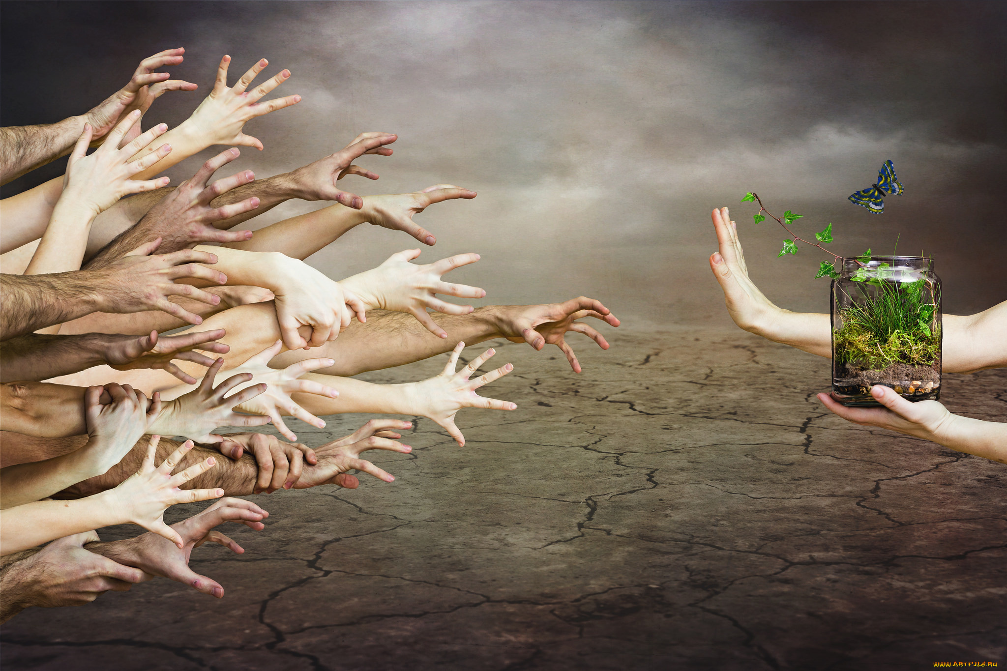 разное, руки, природа, банка