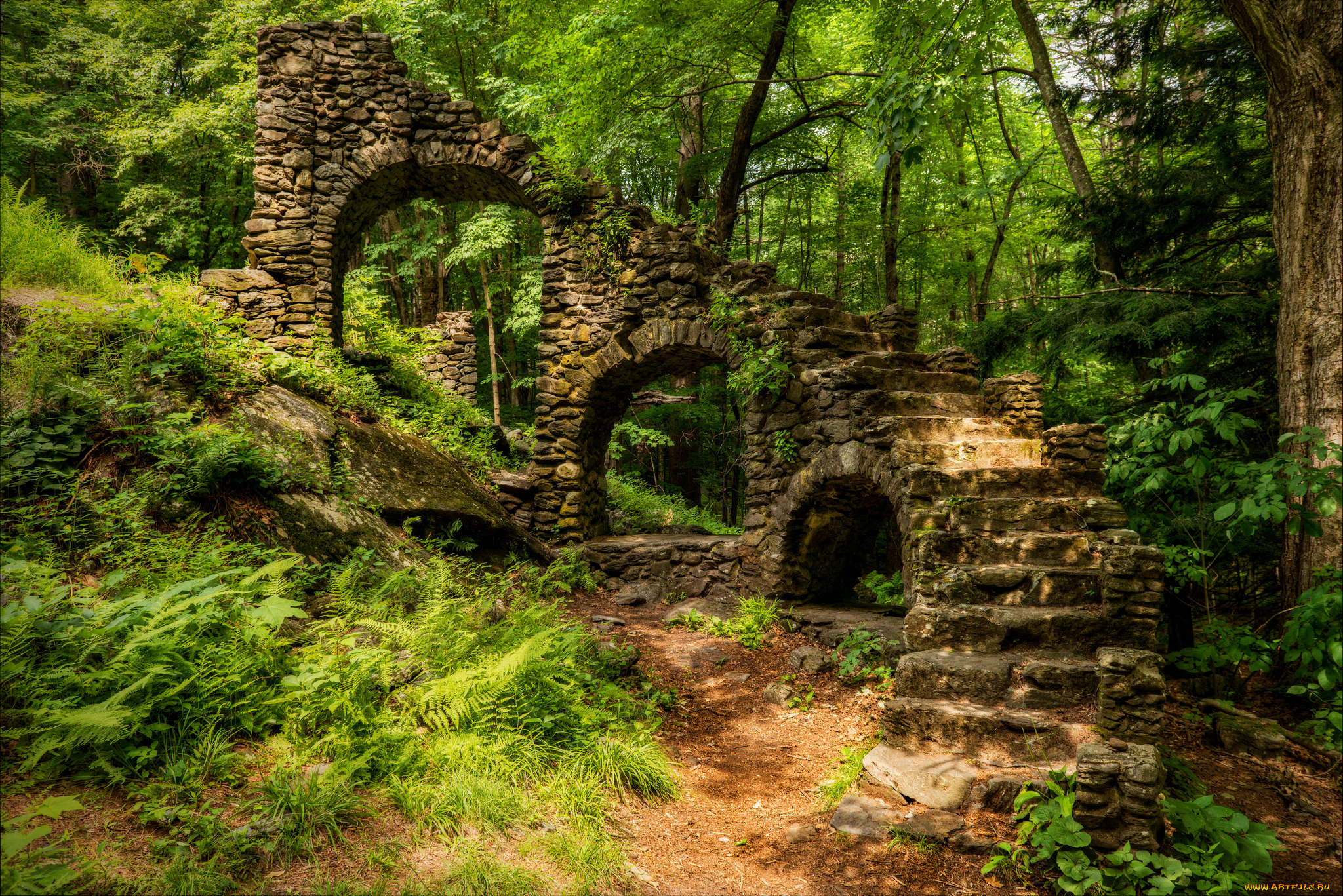 природа, лес, склон, тропинка, ступени