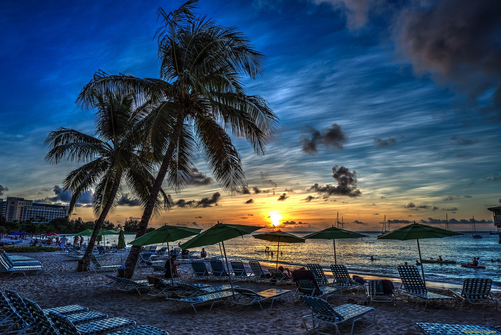 природа, тропики, океан, пляж, пальмы, шезлонги