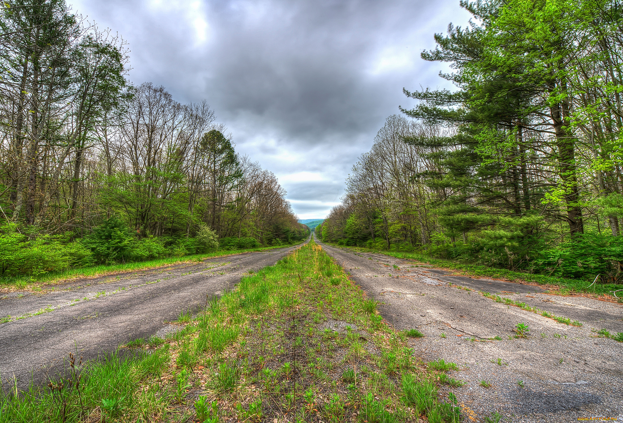 природа, дороги, тракт, лес