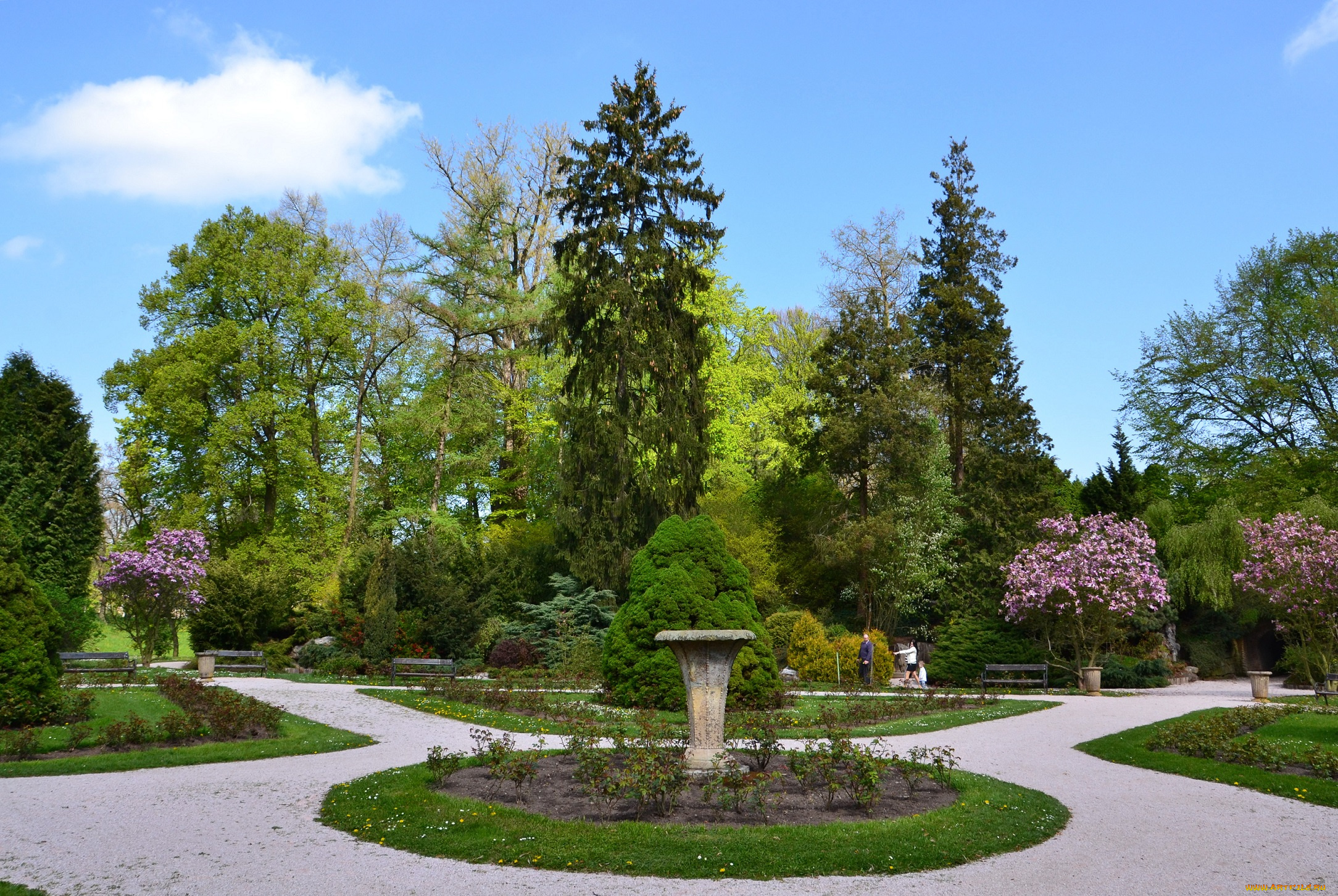 природа, парк, дорожки, деревья