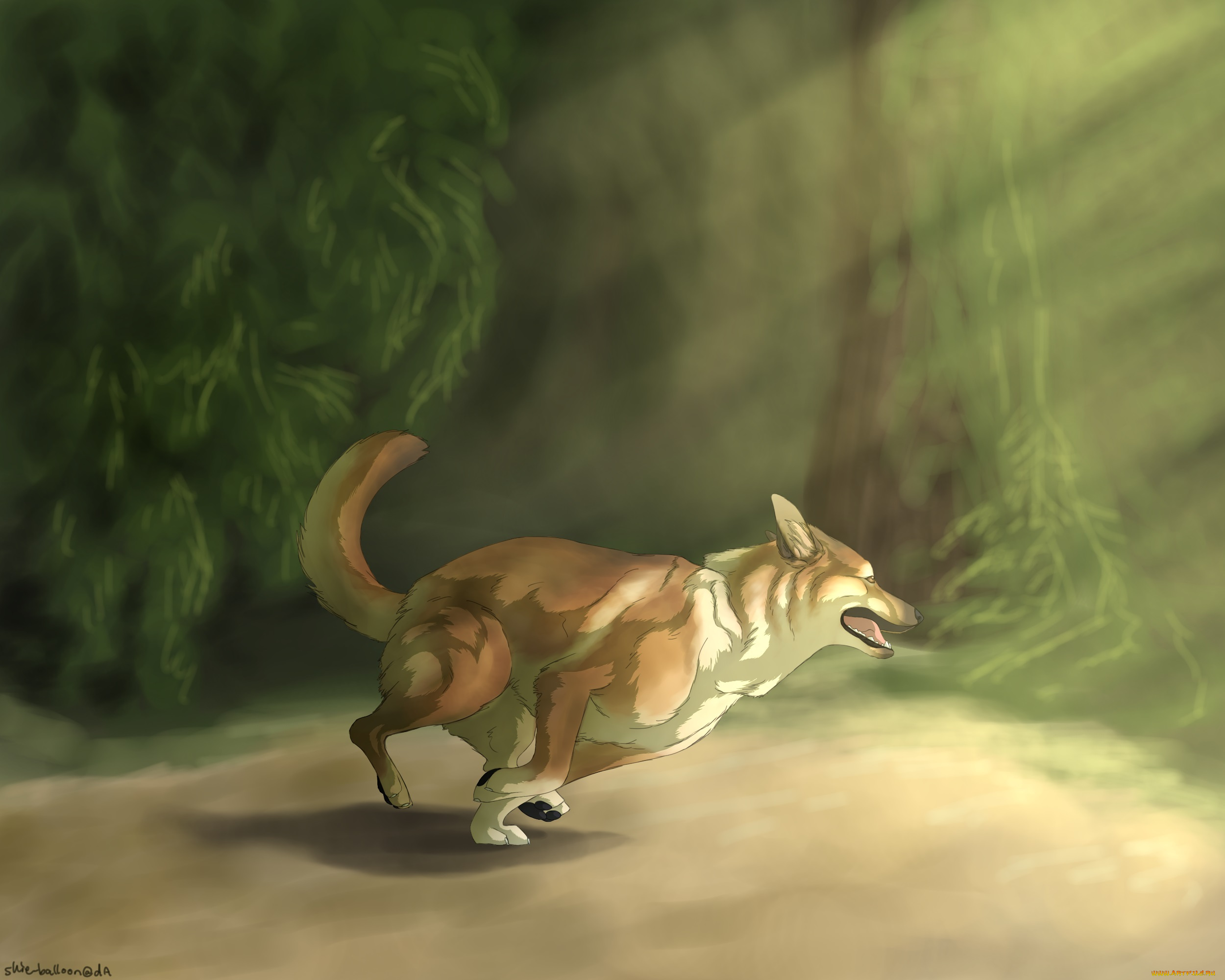 рисованное, животные, , собаки, бег, собака