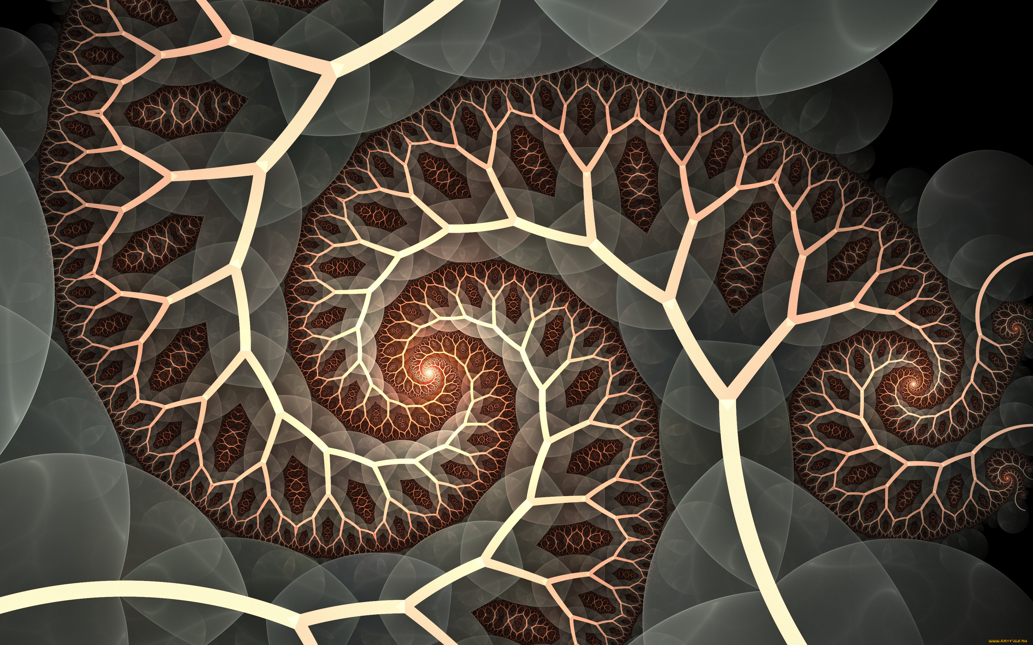 3д, графика, фракталы, , fractal, узор, фон, цвета