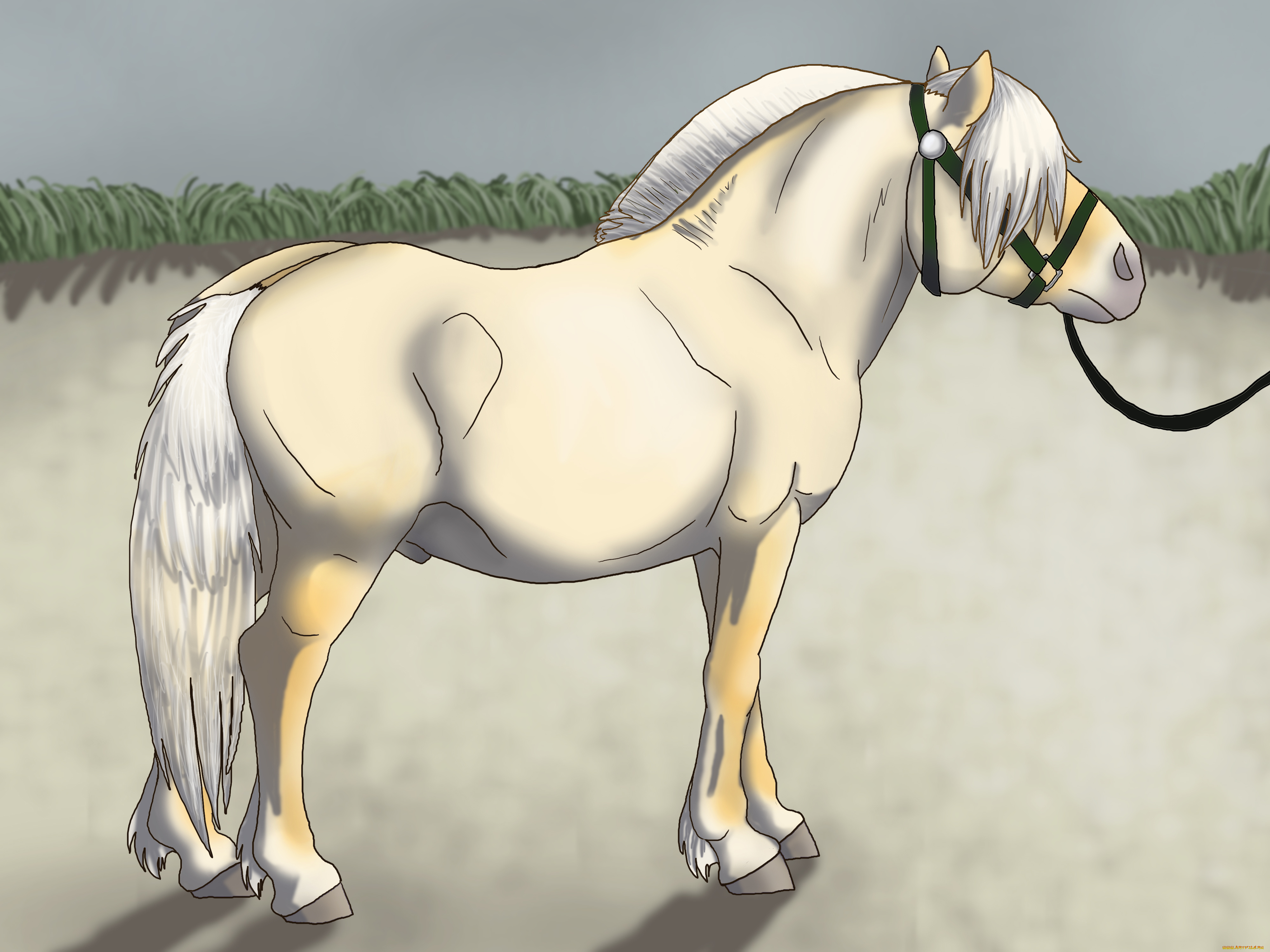 рисованное, животные, , лошади, фон, лошадь