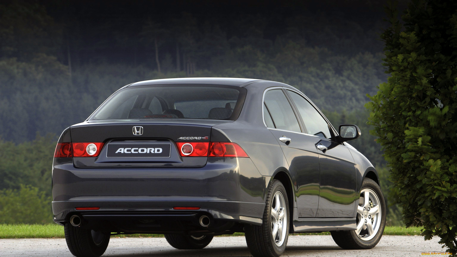 автомобили, honda, type-s, accord