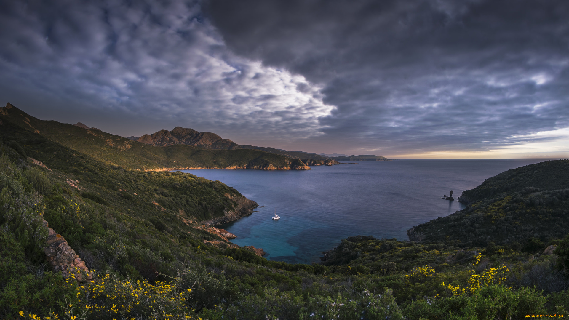 природа, побережье, берег, море