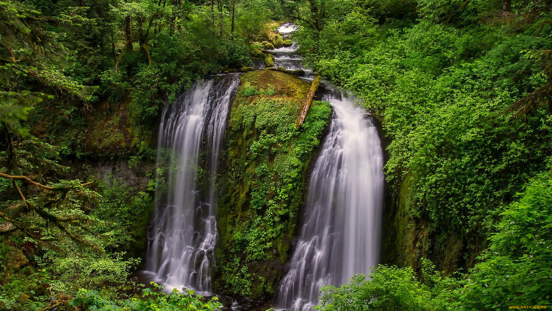 природа, водопады, заросли, водопад, поток, деревья, лес