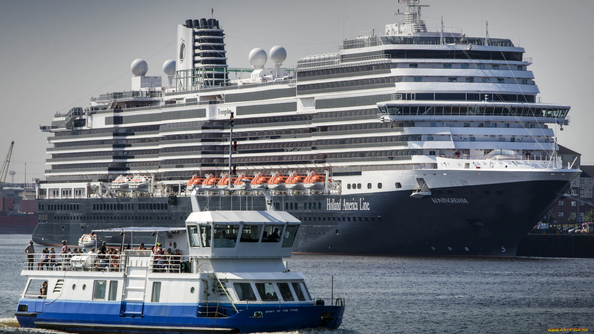 ms, koningsdam, корабли, разные, вместе, круиз, лайнер