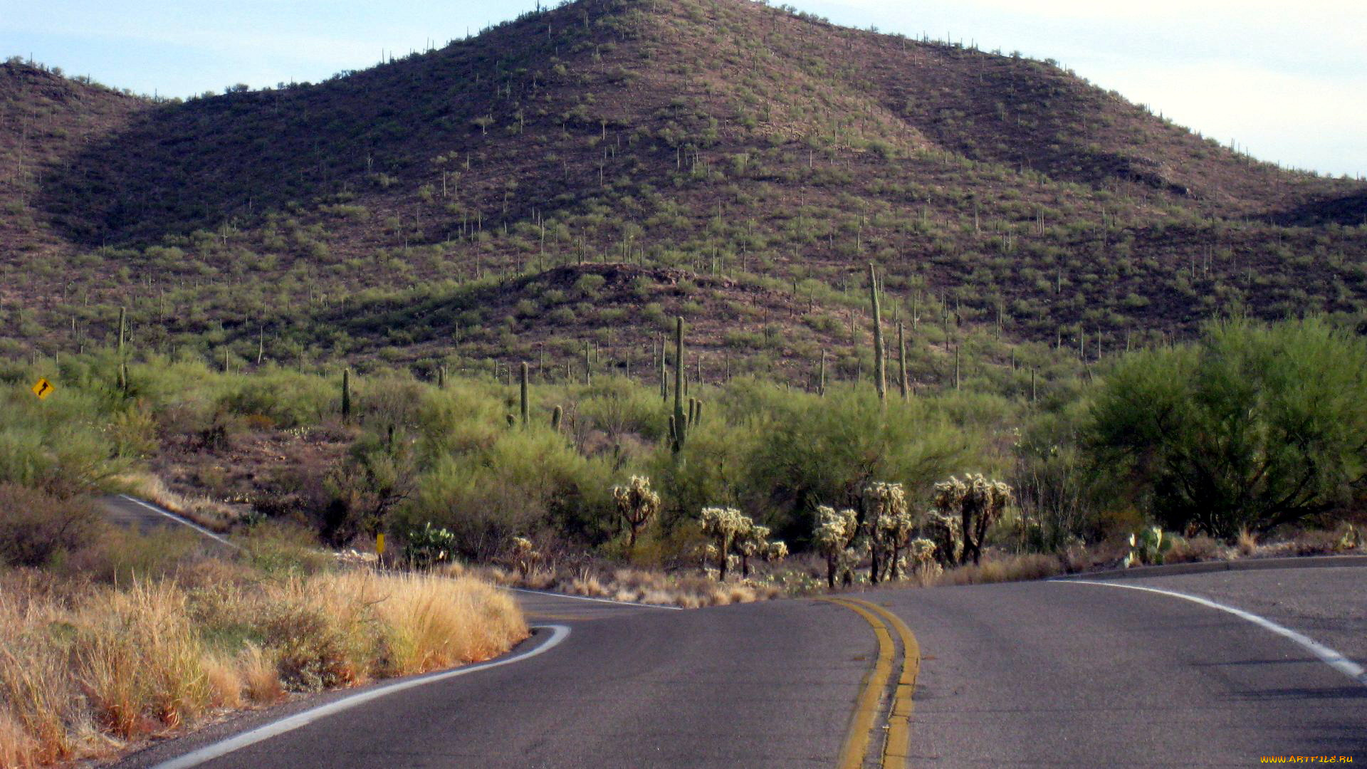 природа, дороги, поворот, шоссе