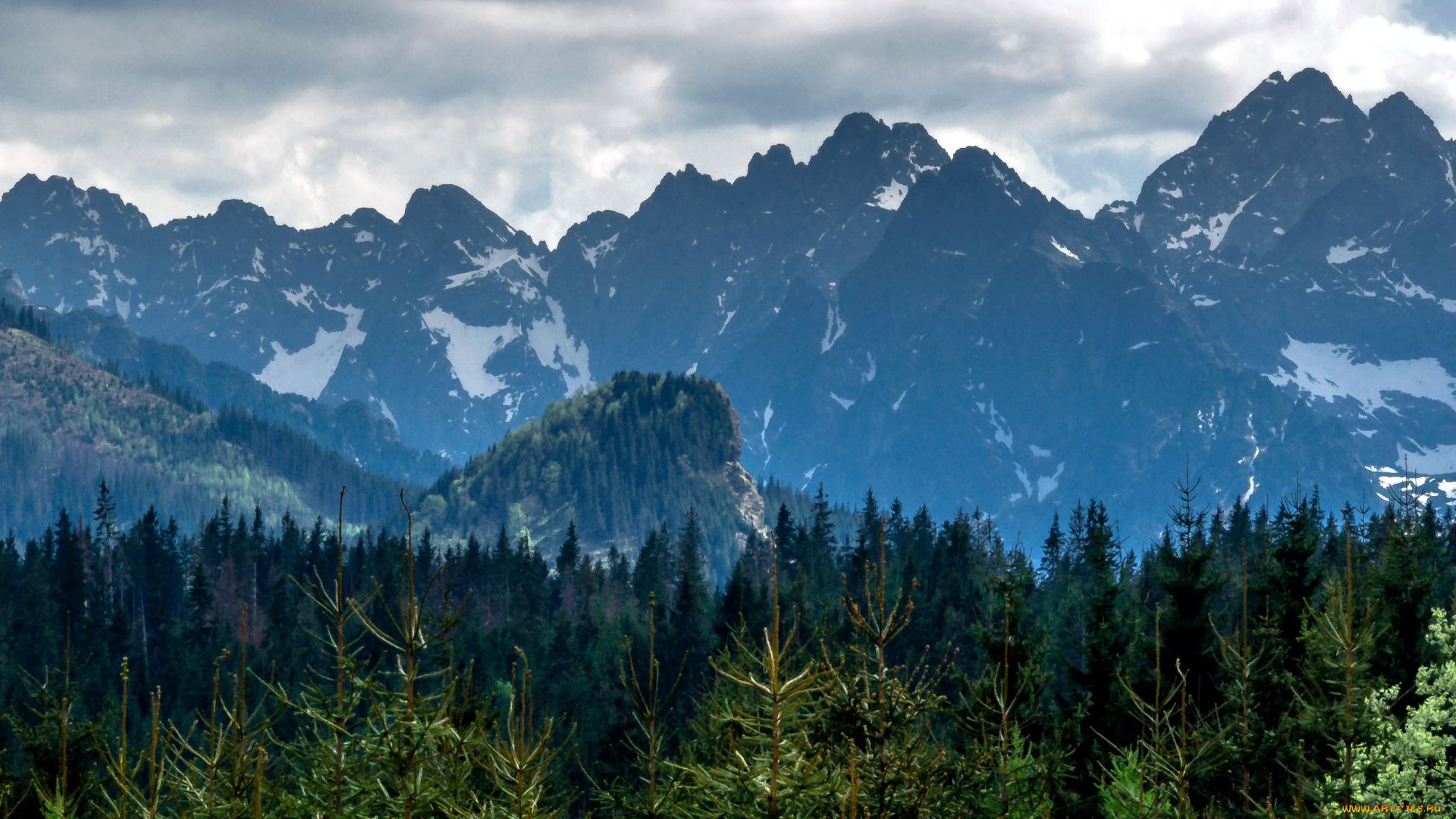 природа, горы, вершины, лес