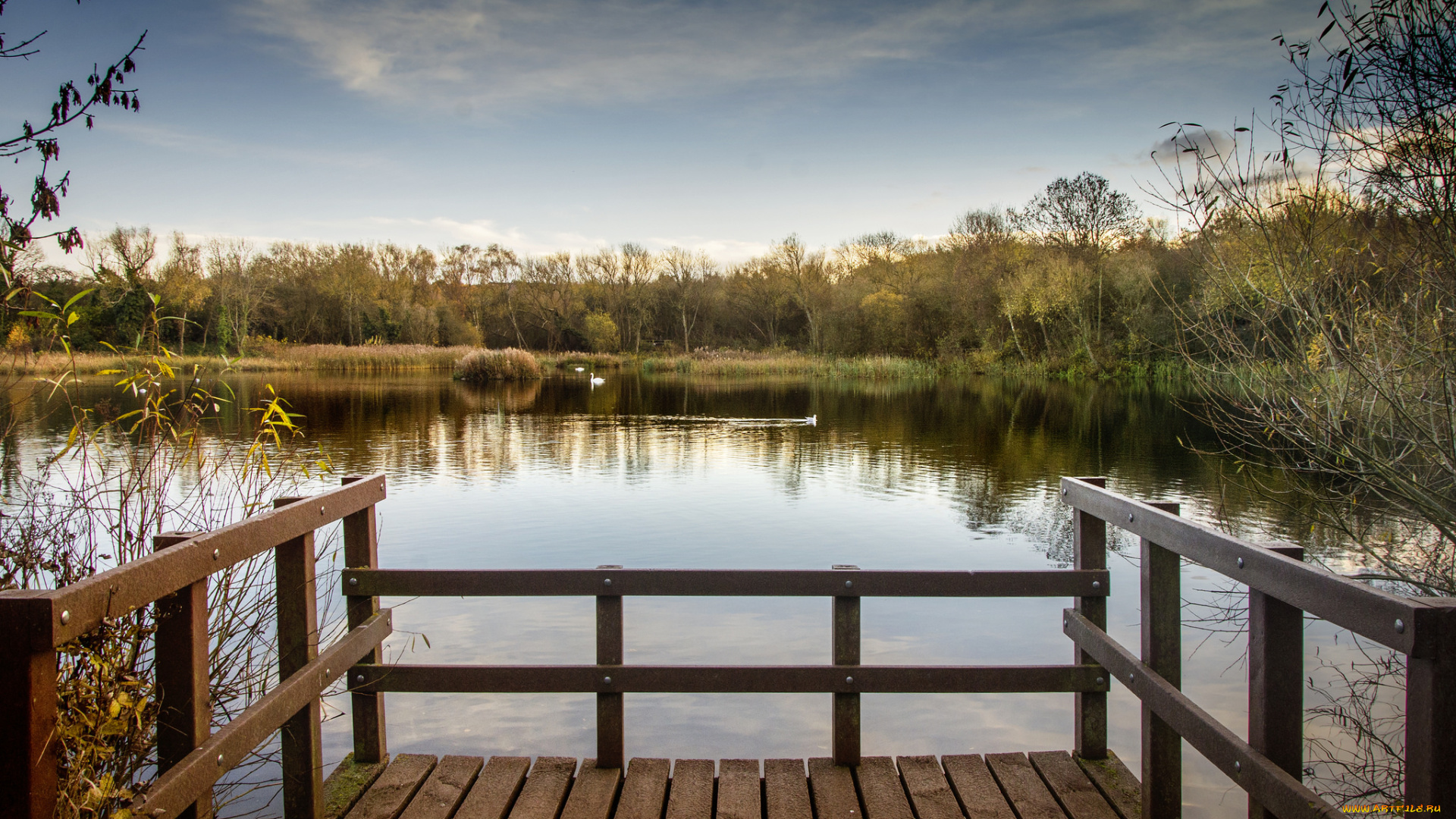 природа, реки, озера, река, лес