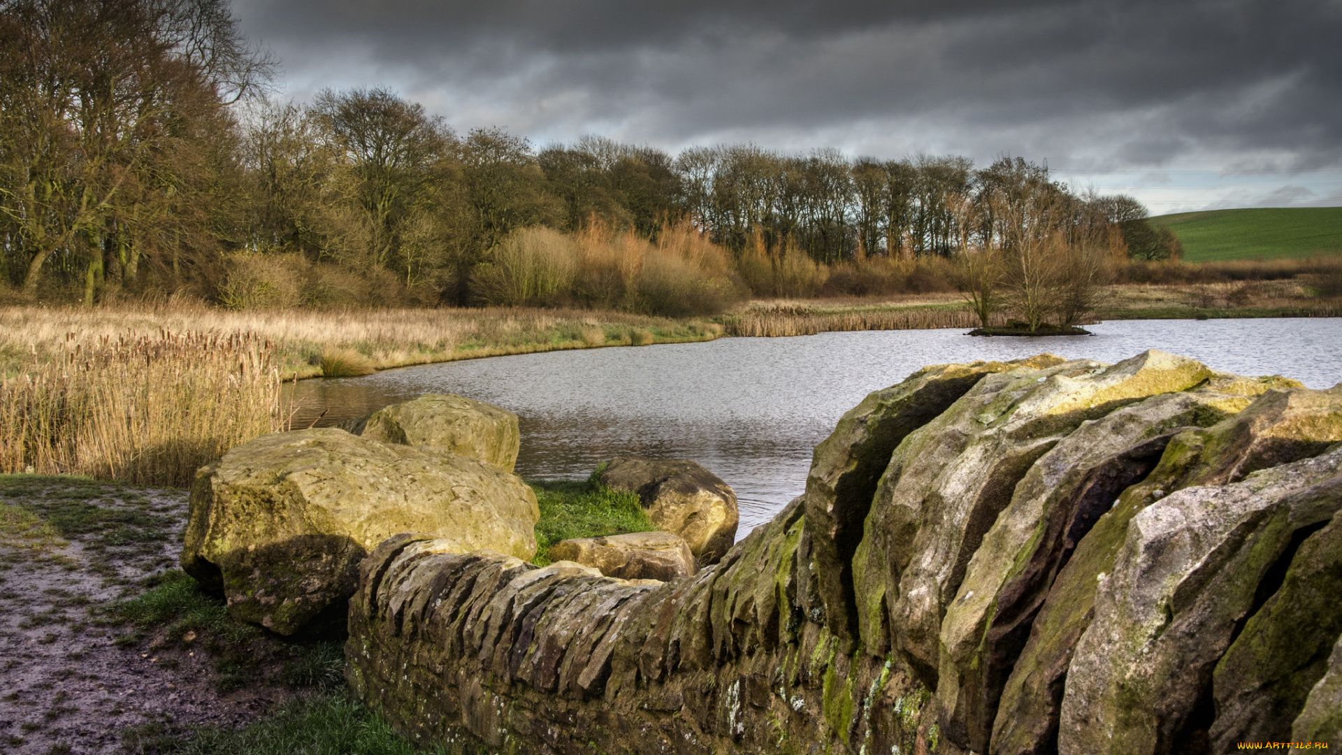 природа, реки, озера, река, лес