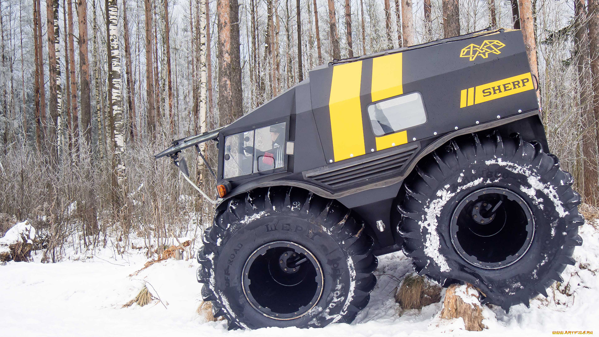 вездеход, sherp, техника, другое, спецтехника, внедорожник, sherp, автомобиль, вездеход