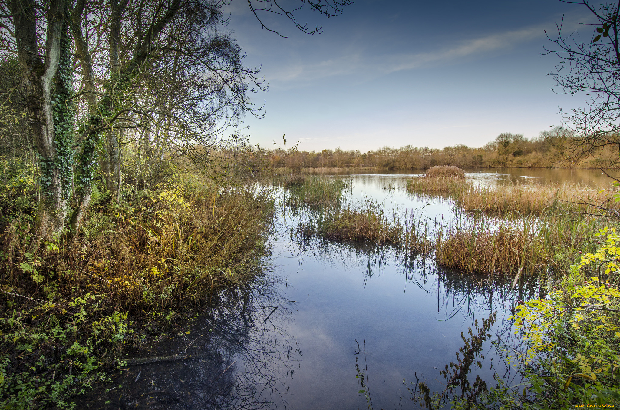 природа, реки, озера, река, лес