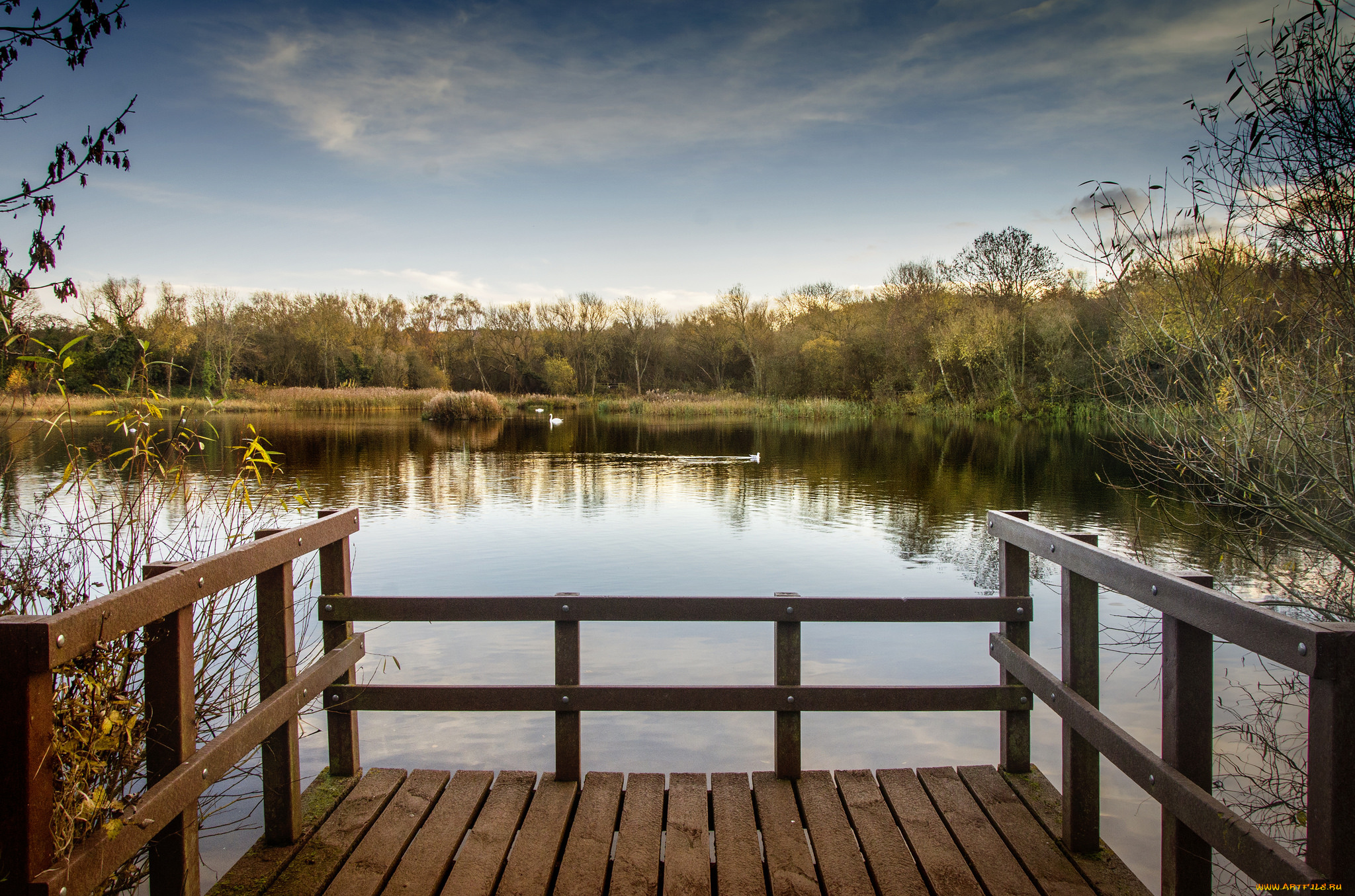 природа, реки, озера, река, лес