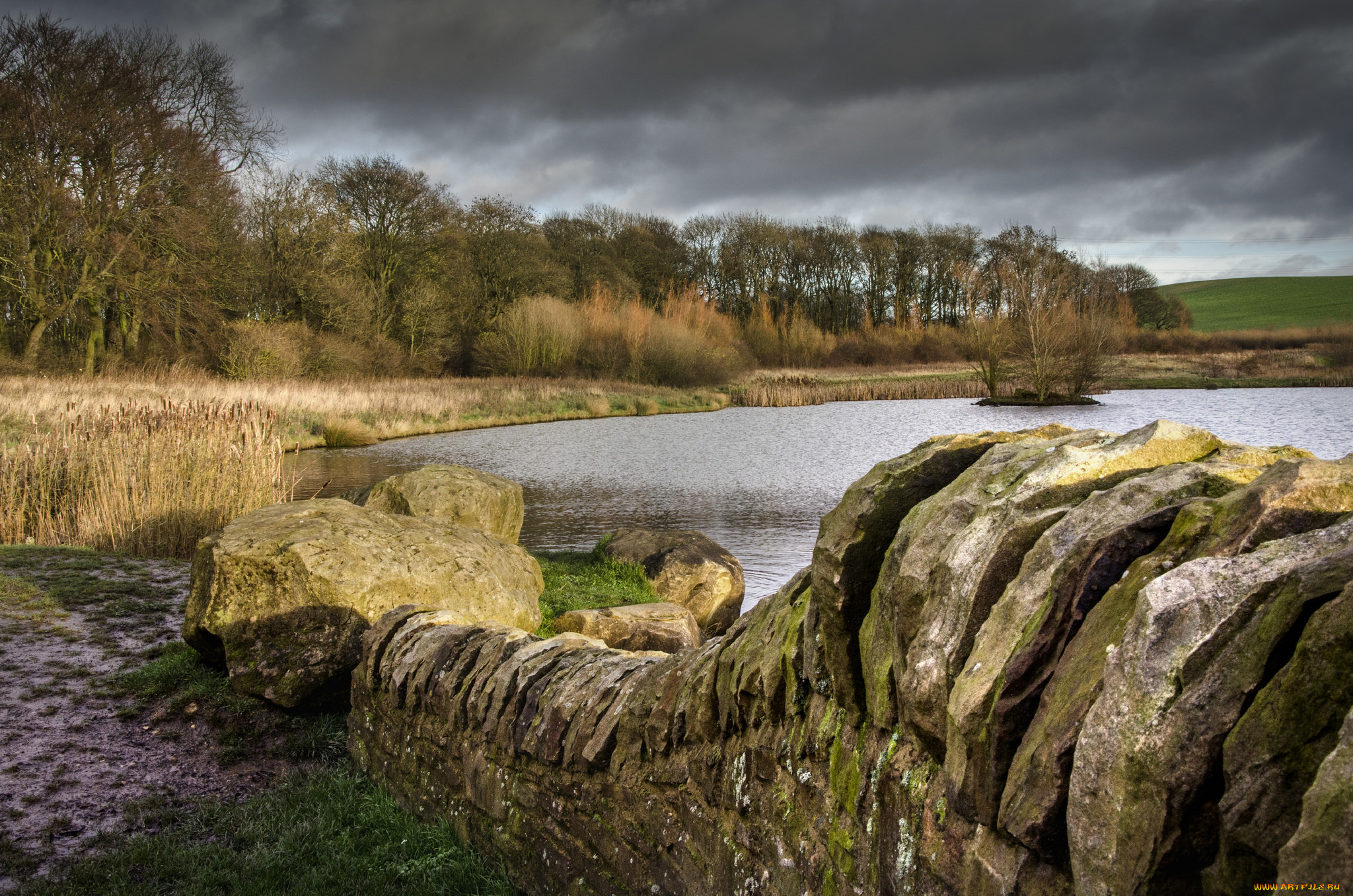 природа, реки, озера, река, лес