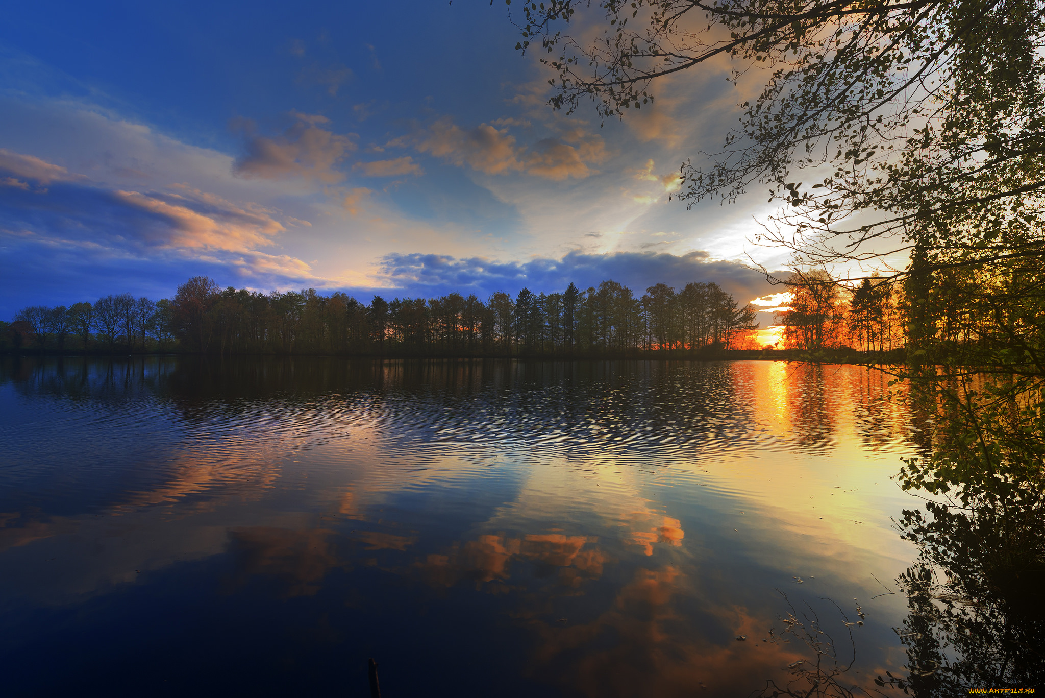 природа, реки, озера, лес, река