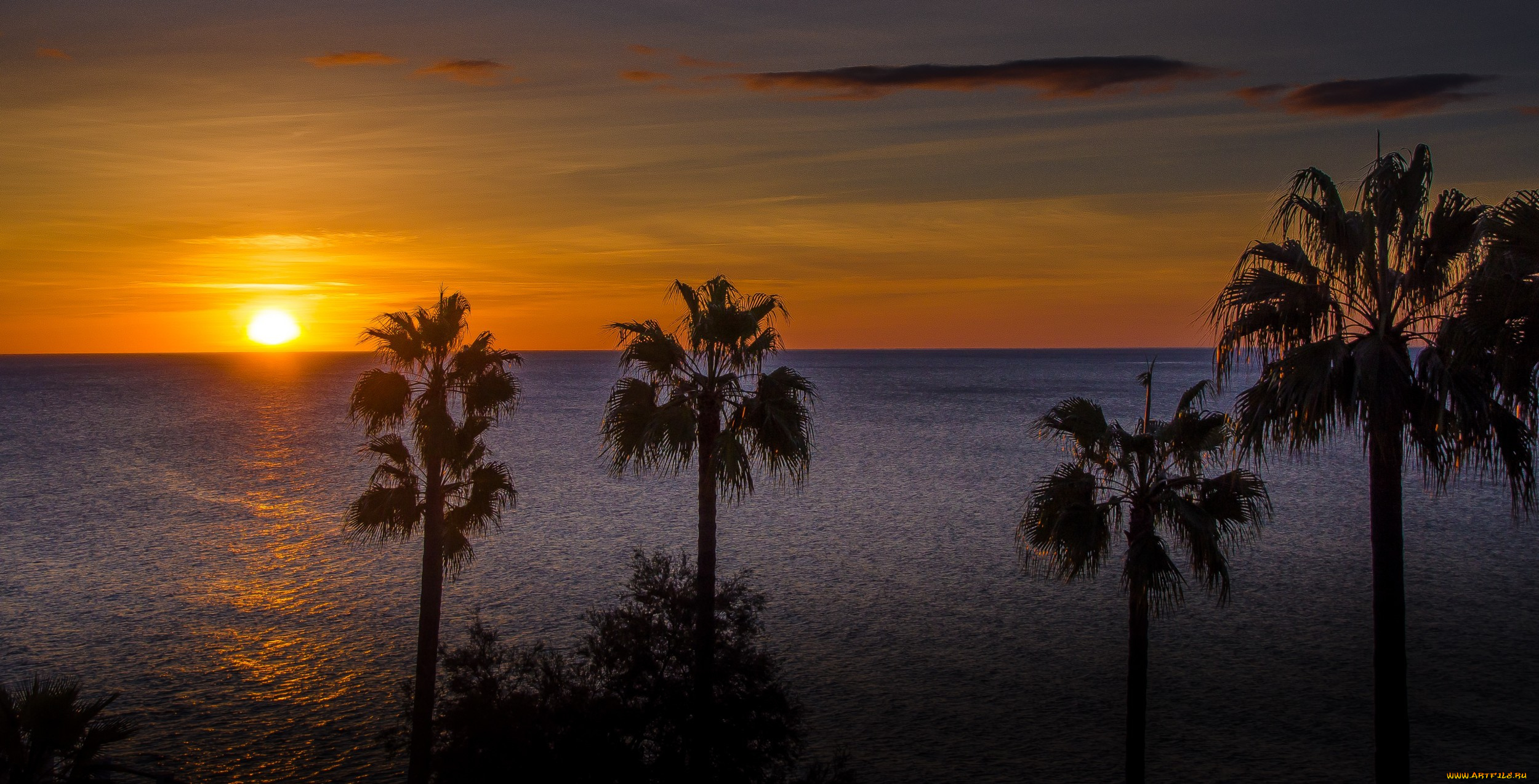 природа, тропики, рассвет