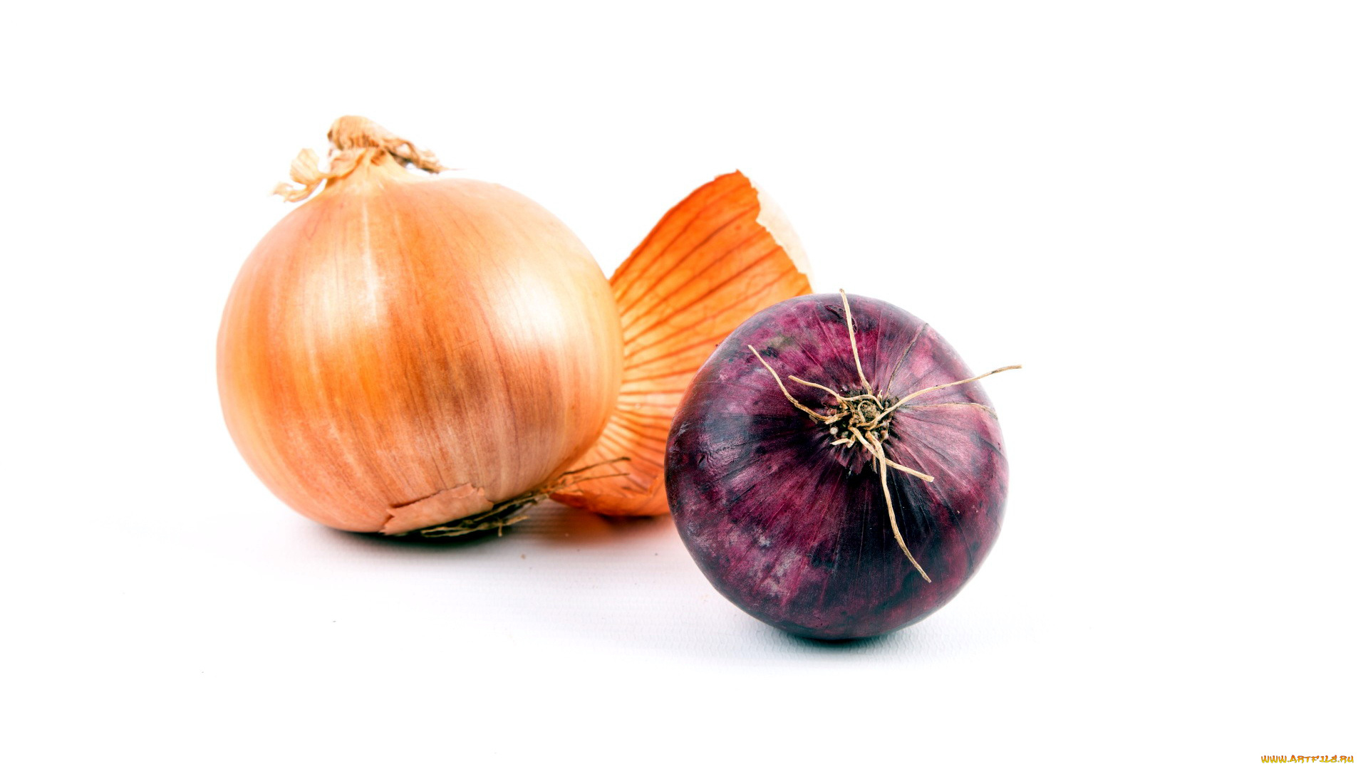 еда, лук, луковицы, репчатый