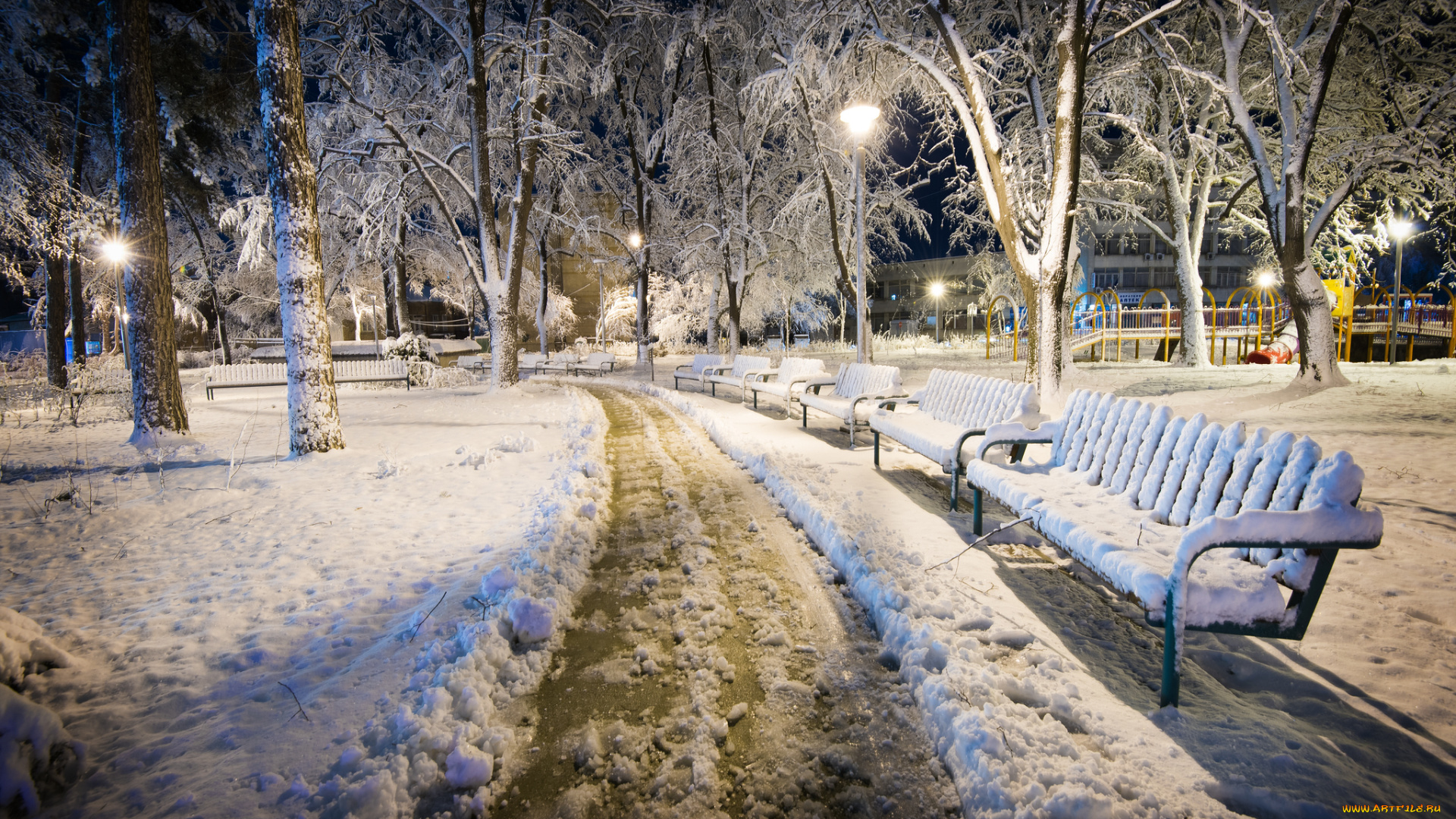 природа, парк, скамья, болгария, kazanlak, зима