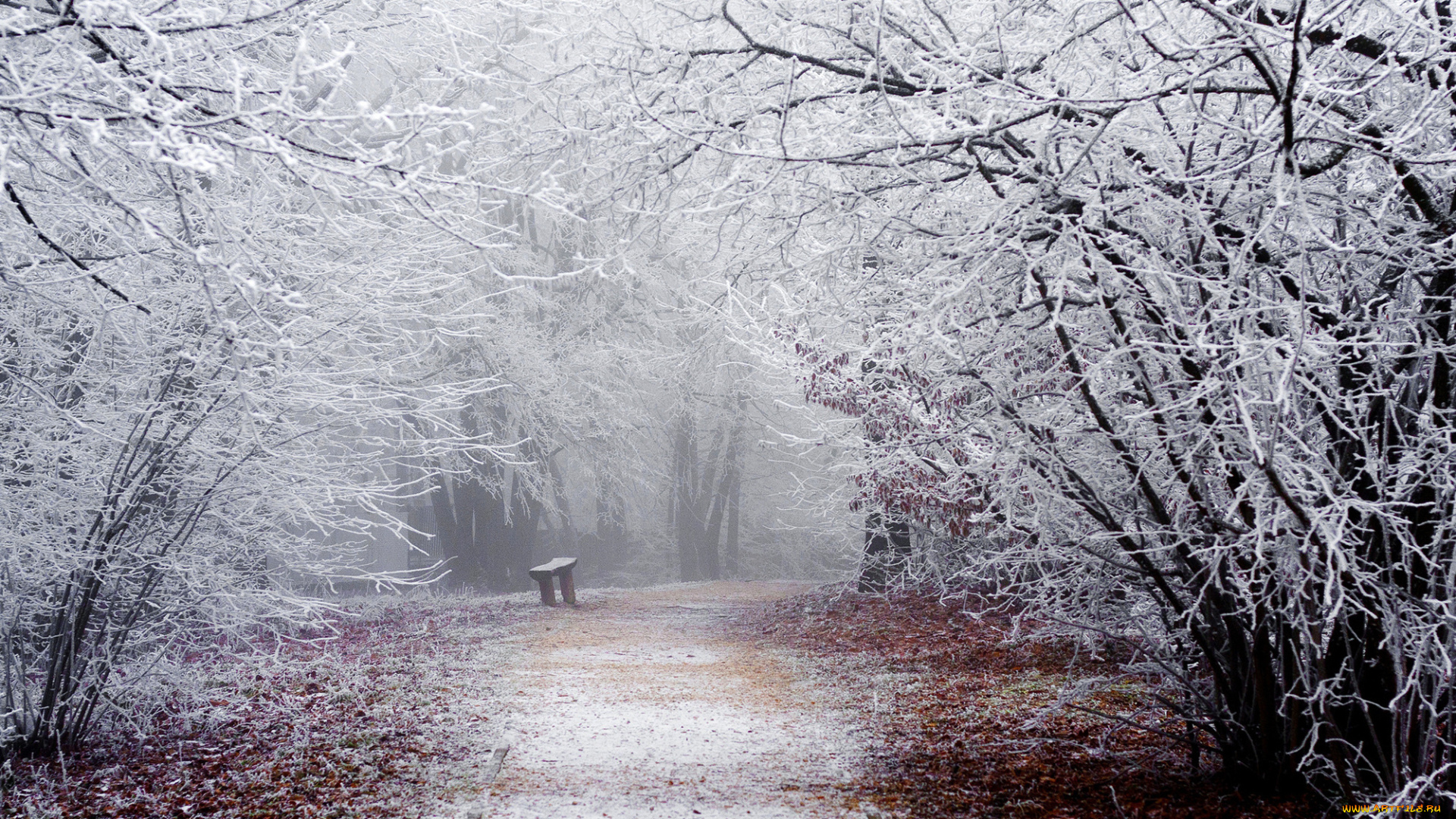 природа, парк, winter, snow, shop, park, track, branches, nature, road, trees, bench, frost