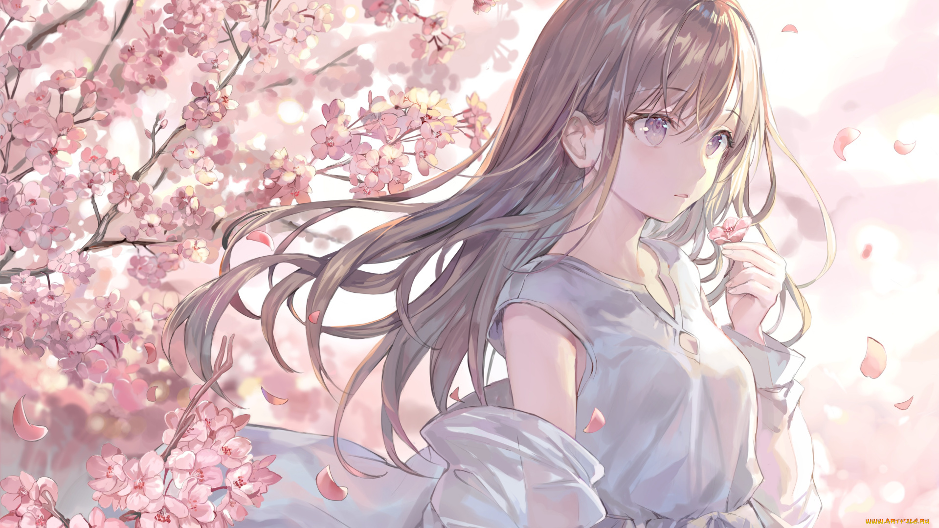 аниме, unknown, , другое, , девушка