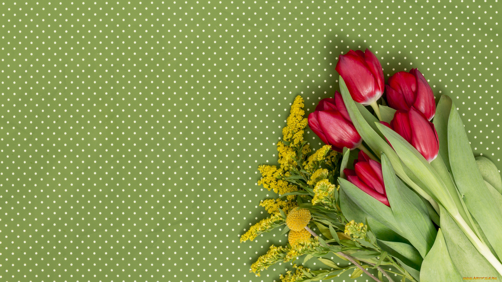 цветы, красные, тюльпаны, букет