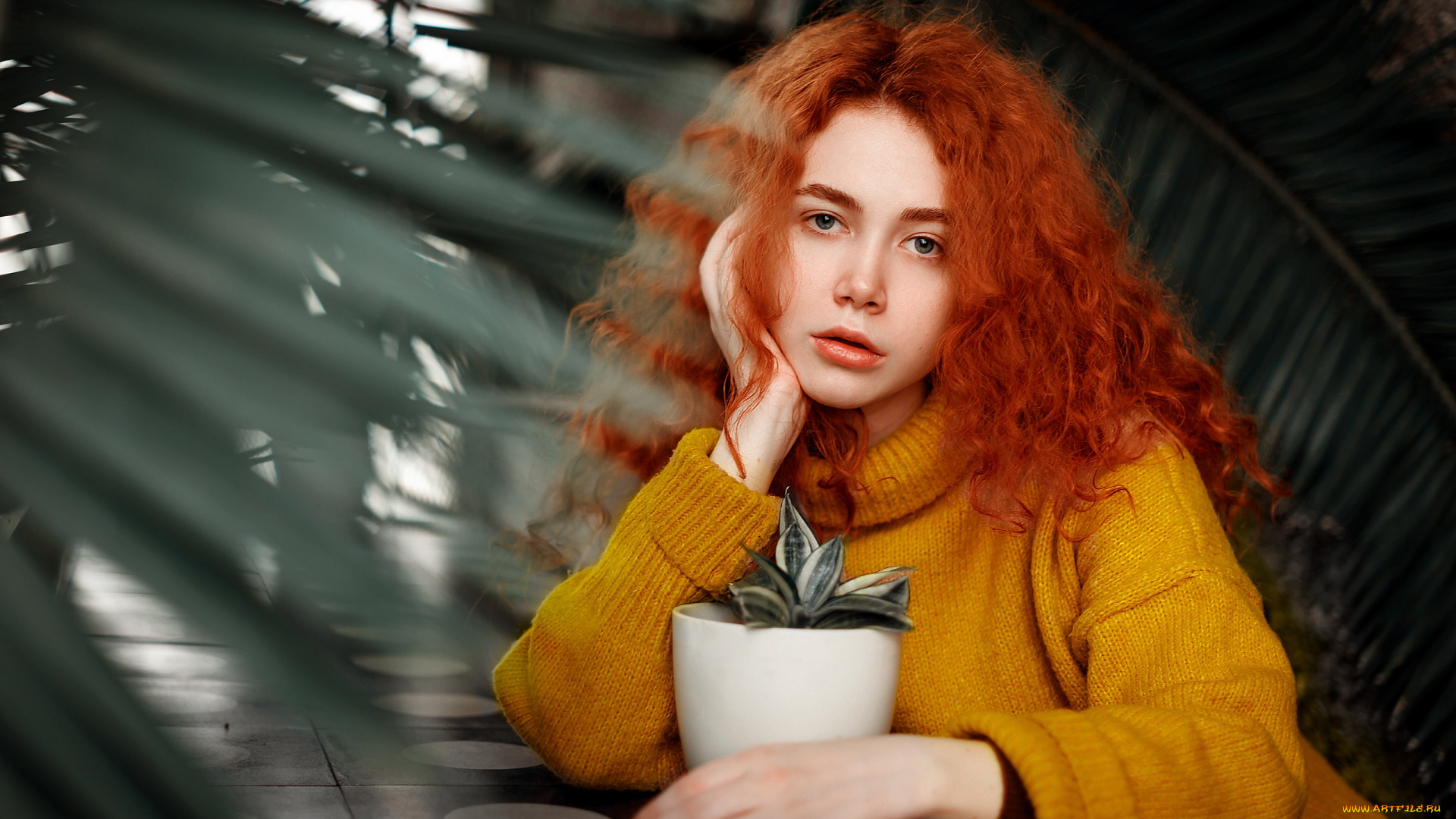 девушка, девушки, -unsort, , рыжеволосые, и, другие, модель