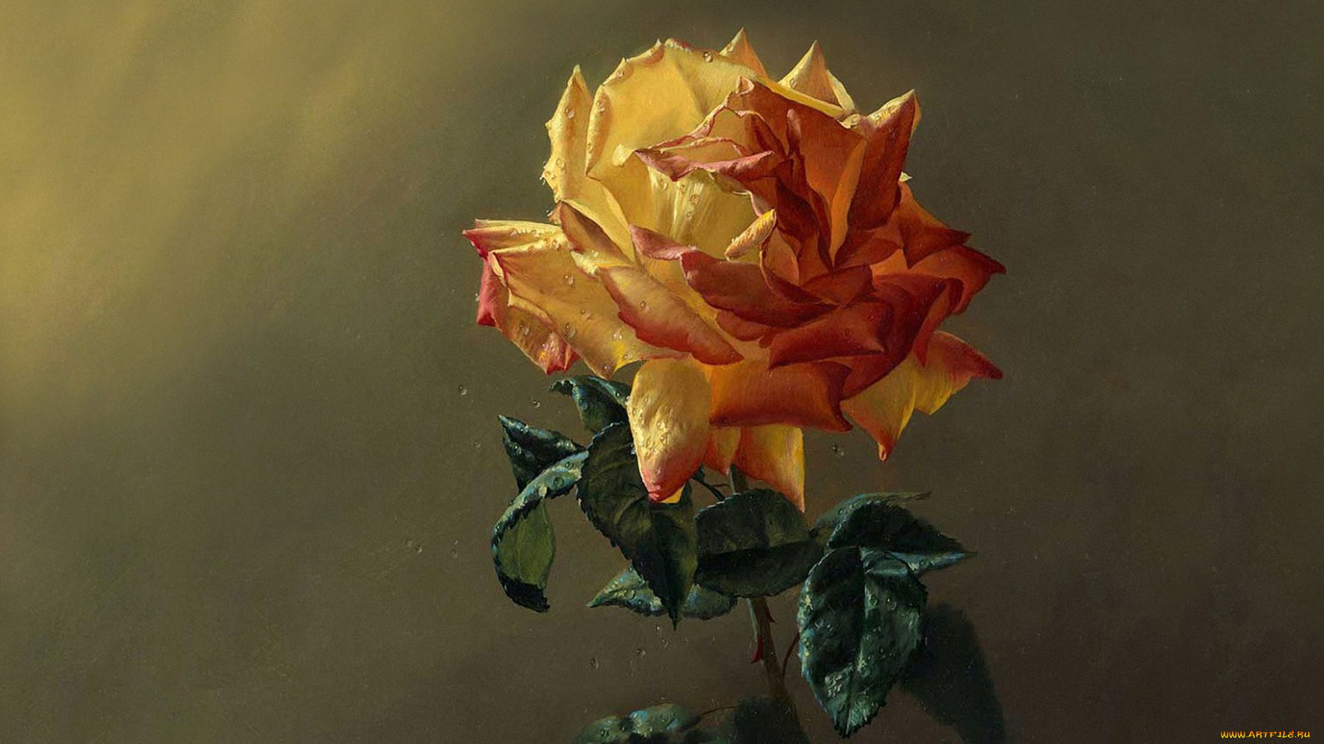 рисованное, алексей, антонов, алексей, антонов