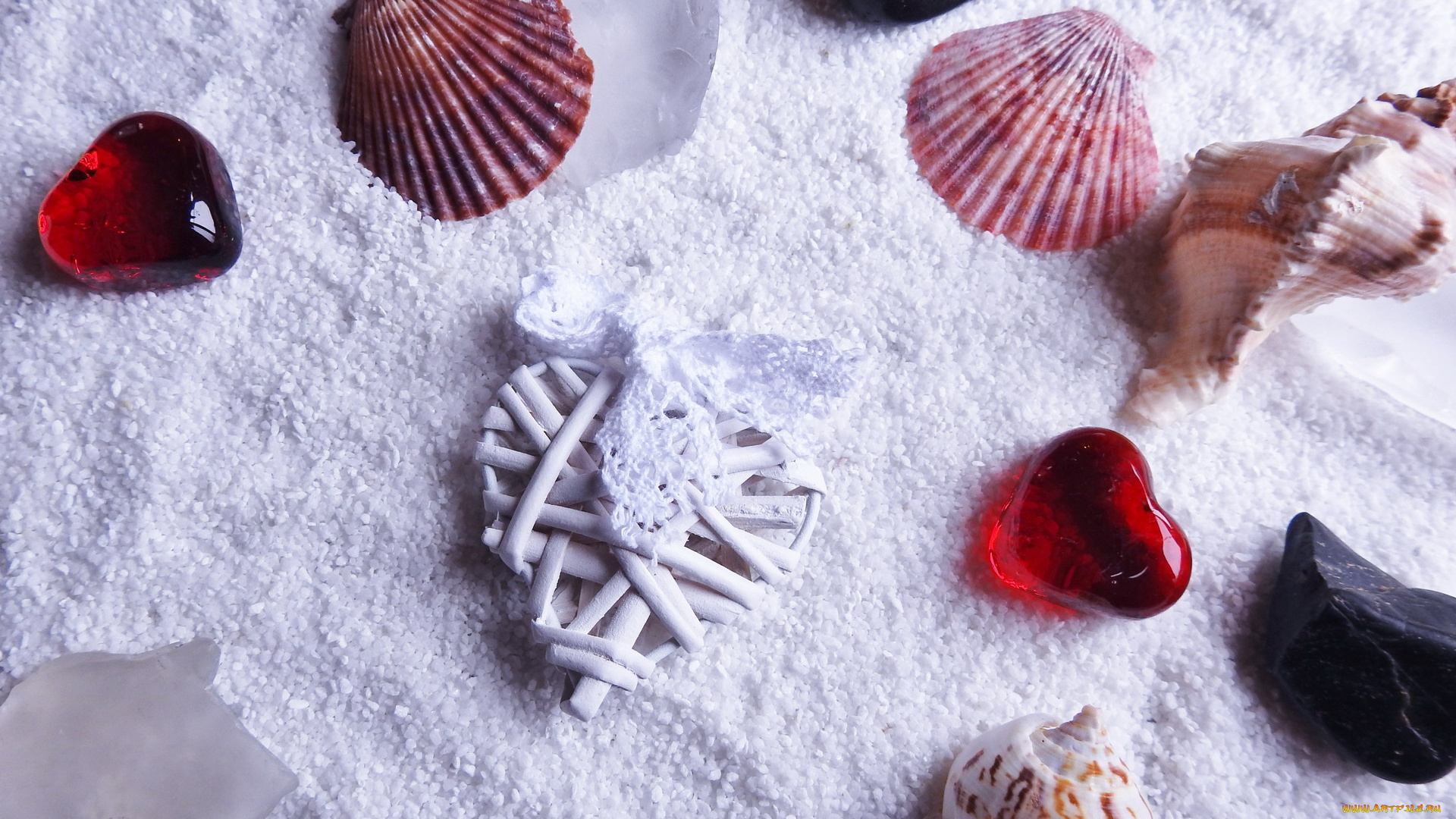 разное, ракушки, , кораллы, , декоративные, и, spa-камни