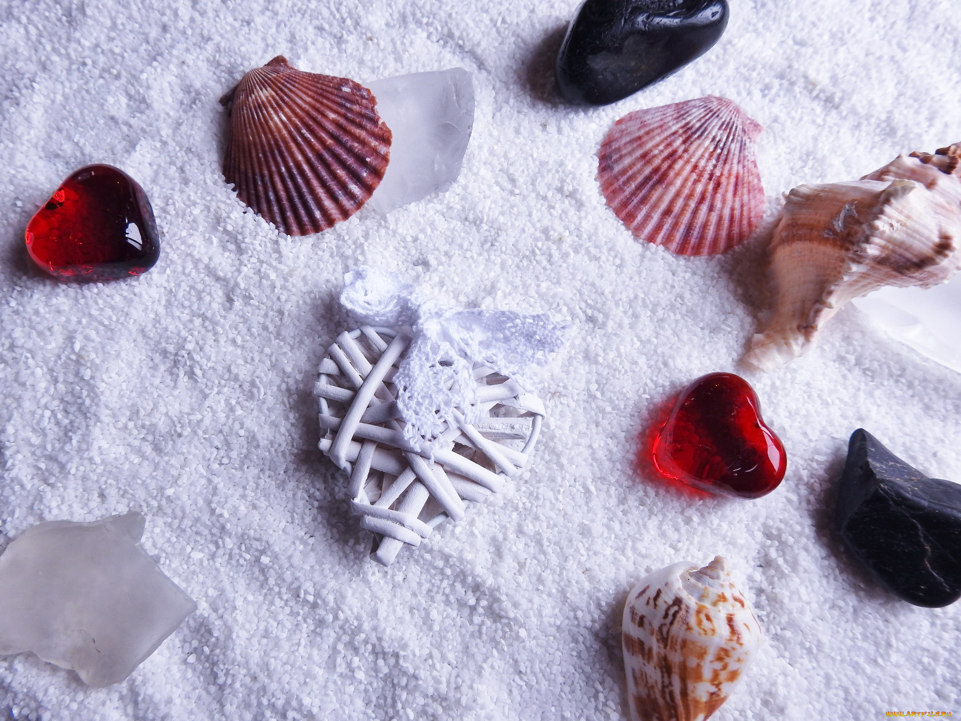 разное, ракушки, , кораллы, , декоративные, и, spa-камни