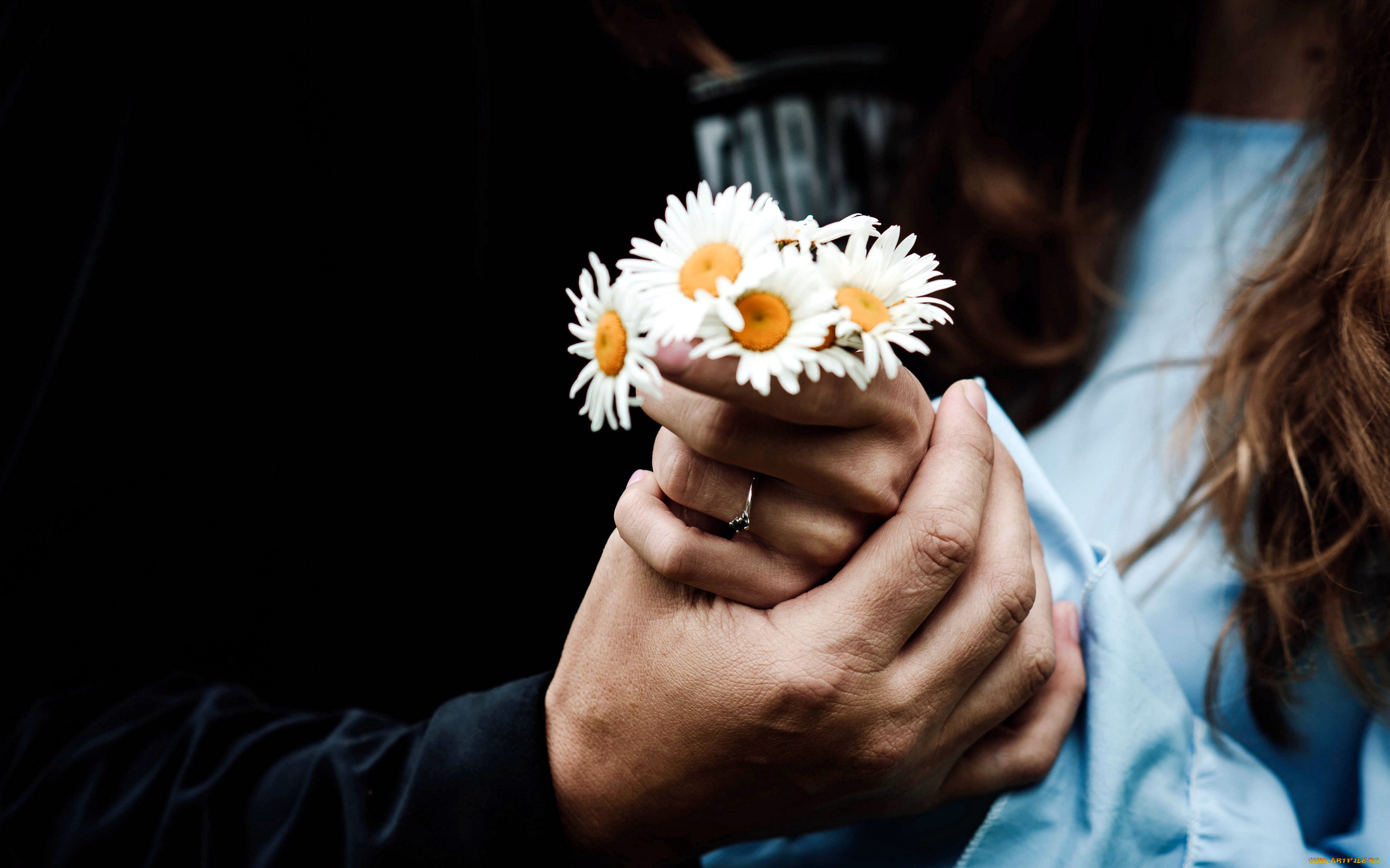 разное, руки, , ноги, влюбленные, ромашки