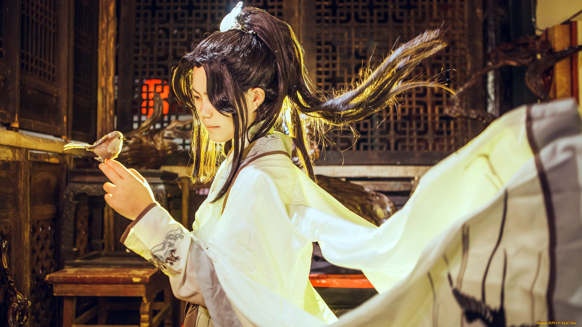 девушки, -, креатив, , косплей, костюм, птица, комната