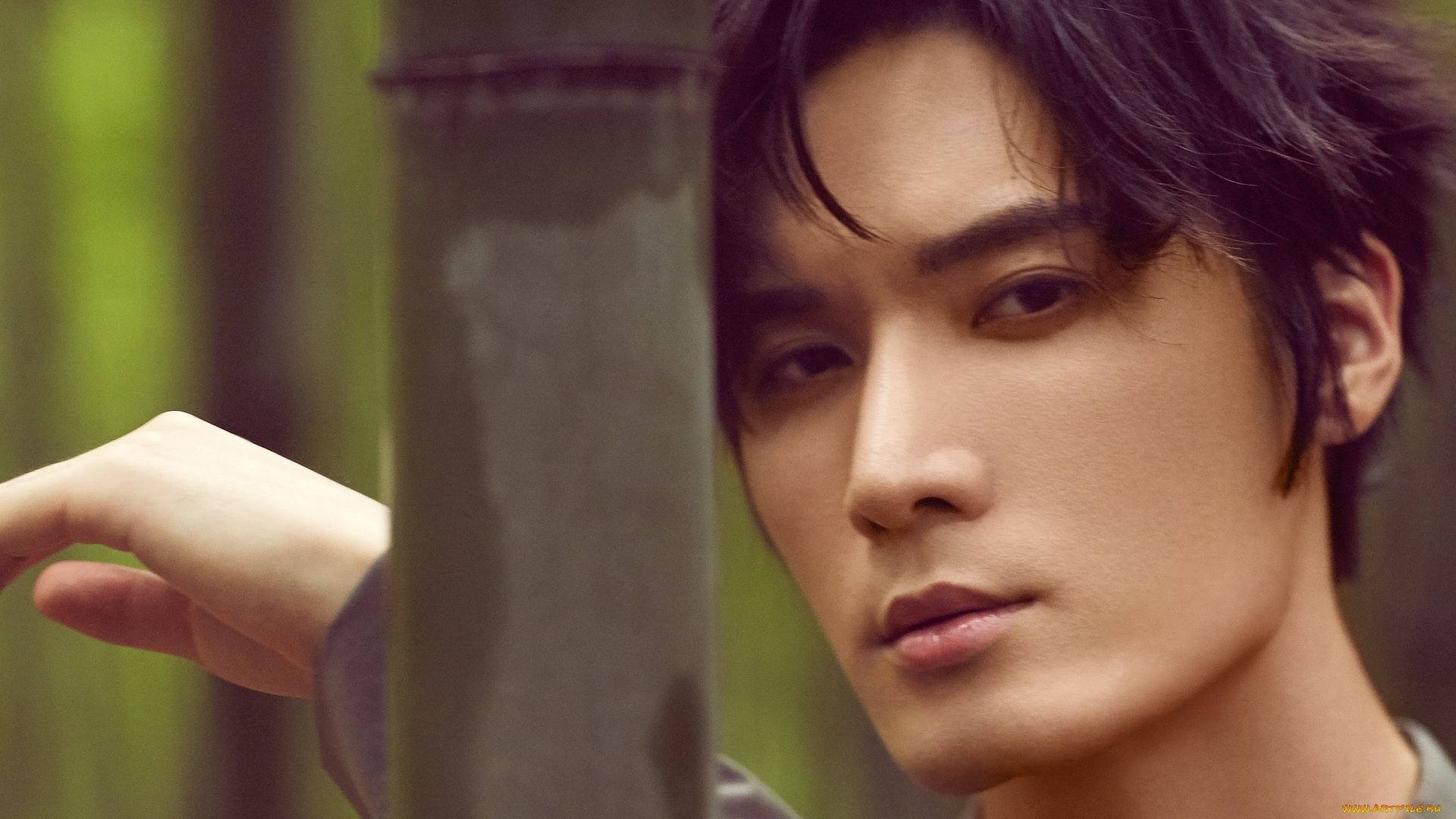 мужчины, liu, haikuan, лю, хайкуань, liu, haikuan